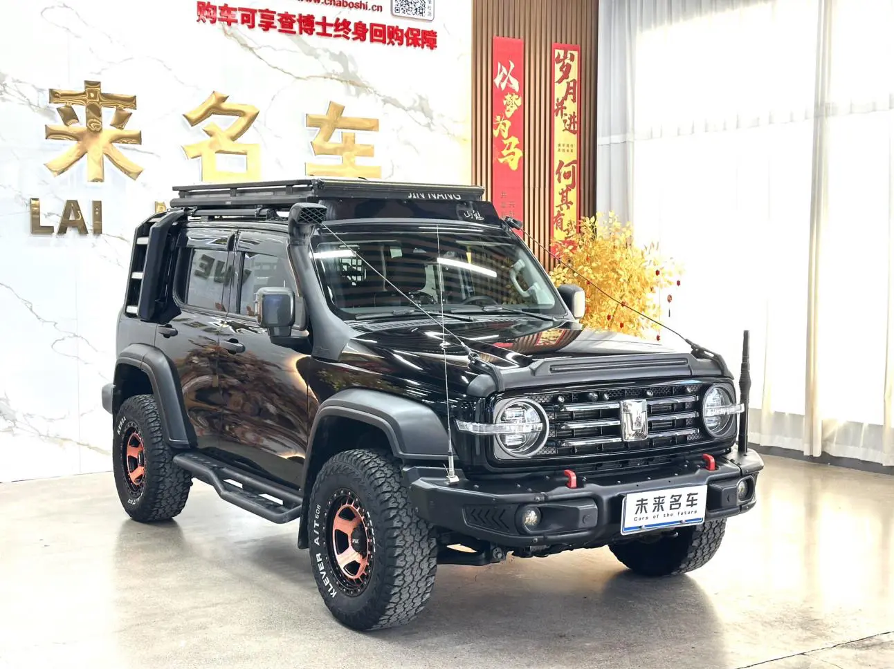 Tank 300