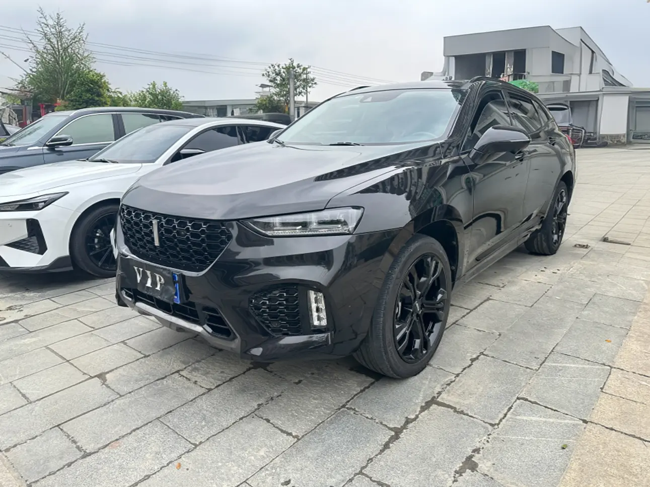 Wey Wei brand VV7
