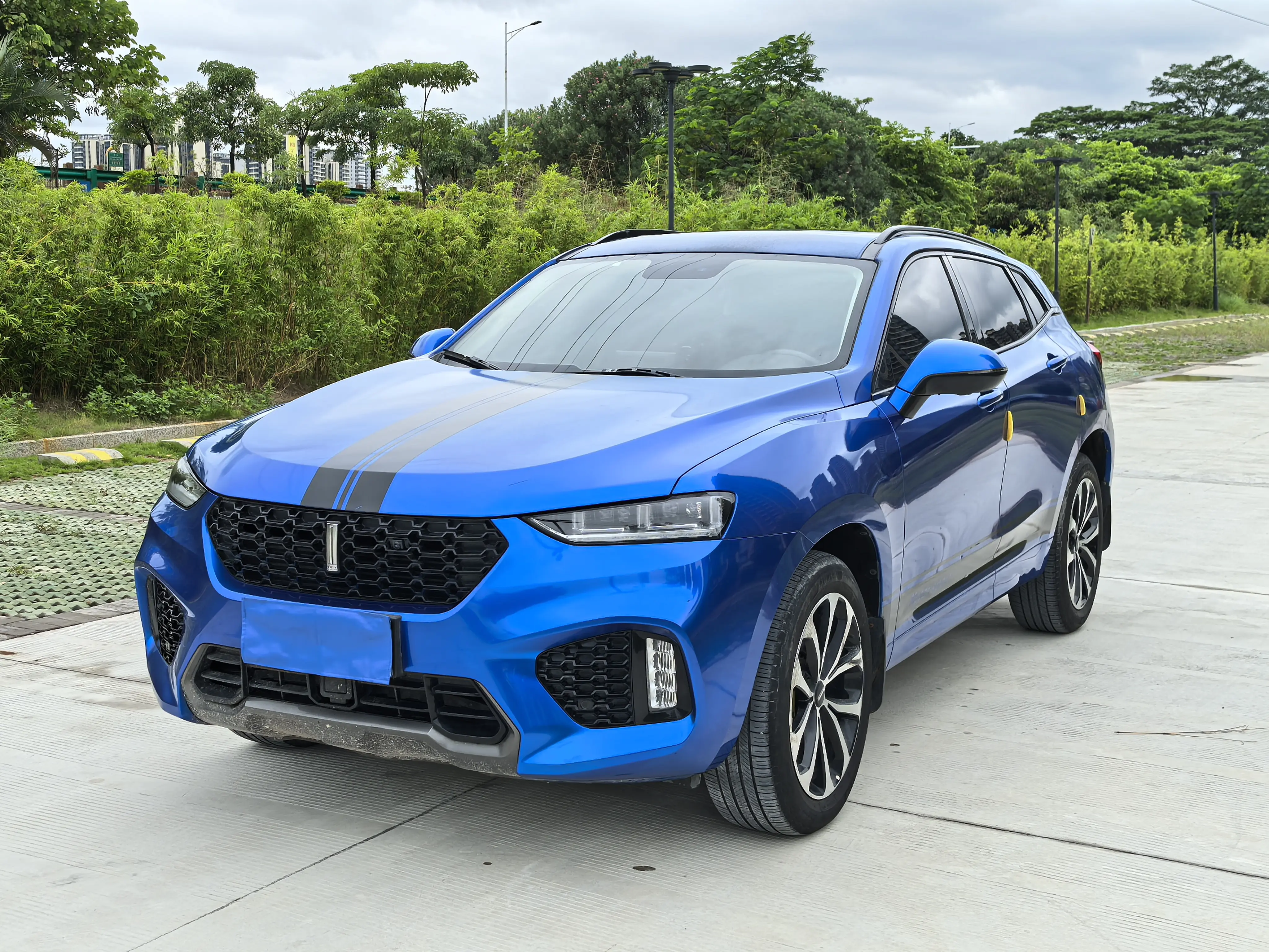Wey Wei brand VV7