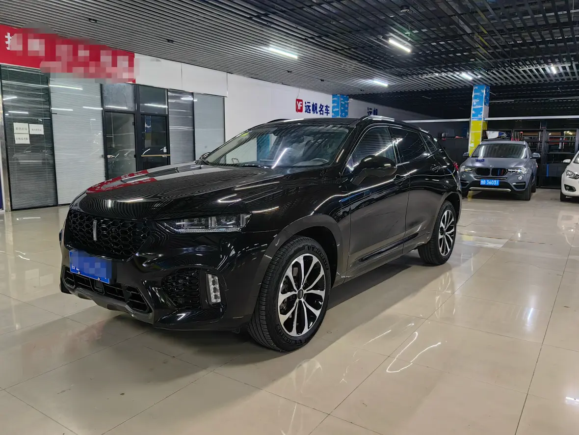 Wey Wei brand VV7