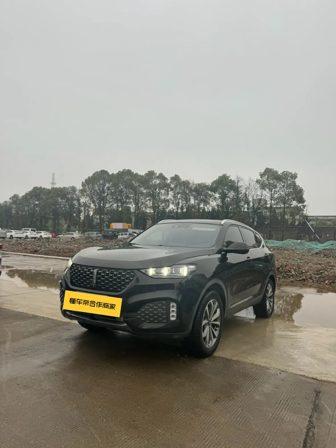 Wey Wei brand VV6