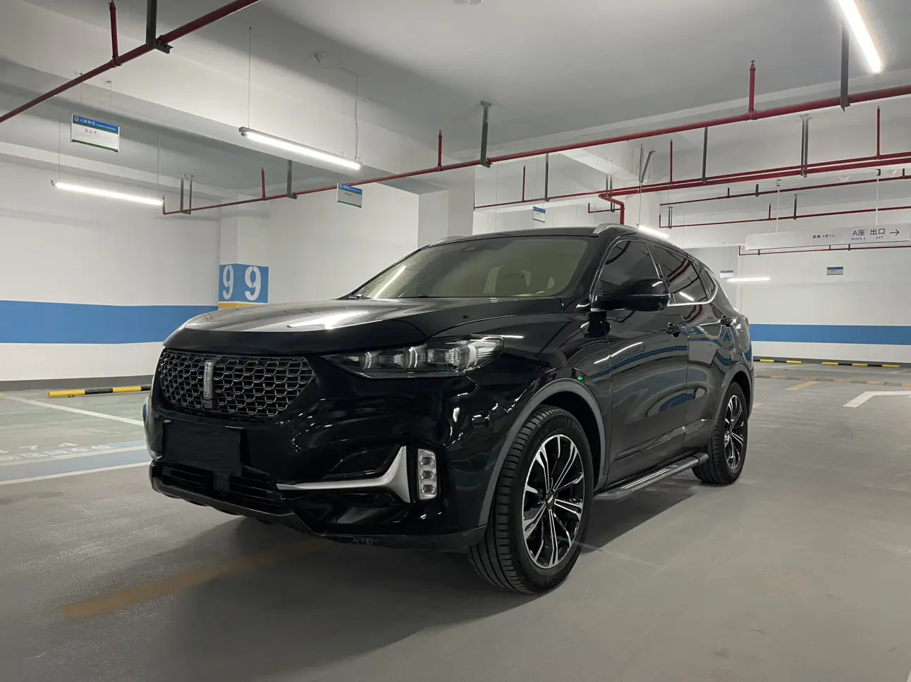 Wey Wei brand VV6