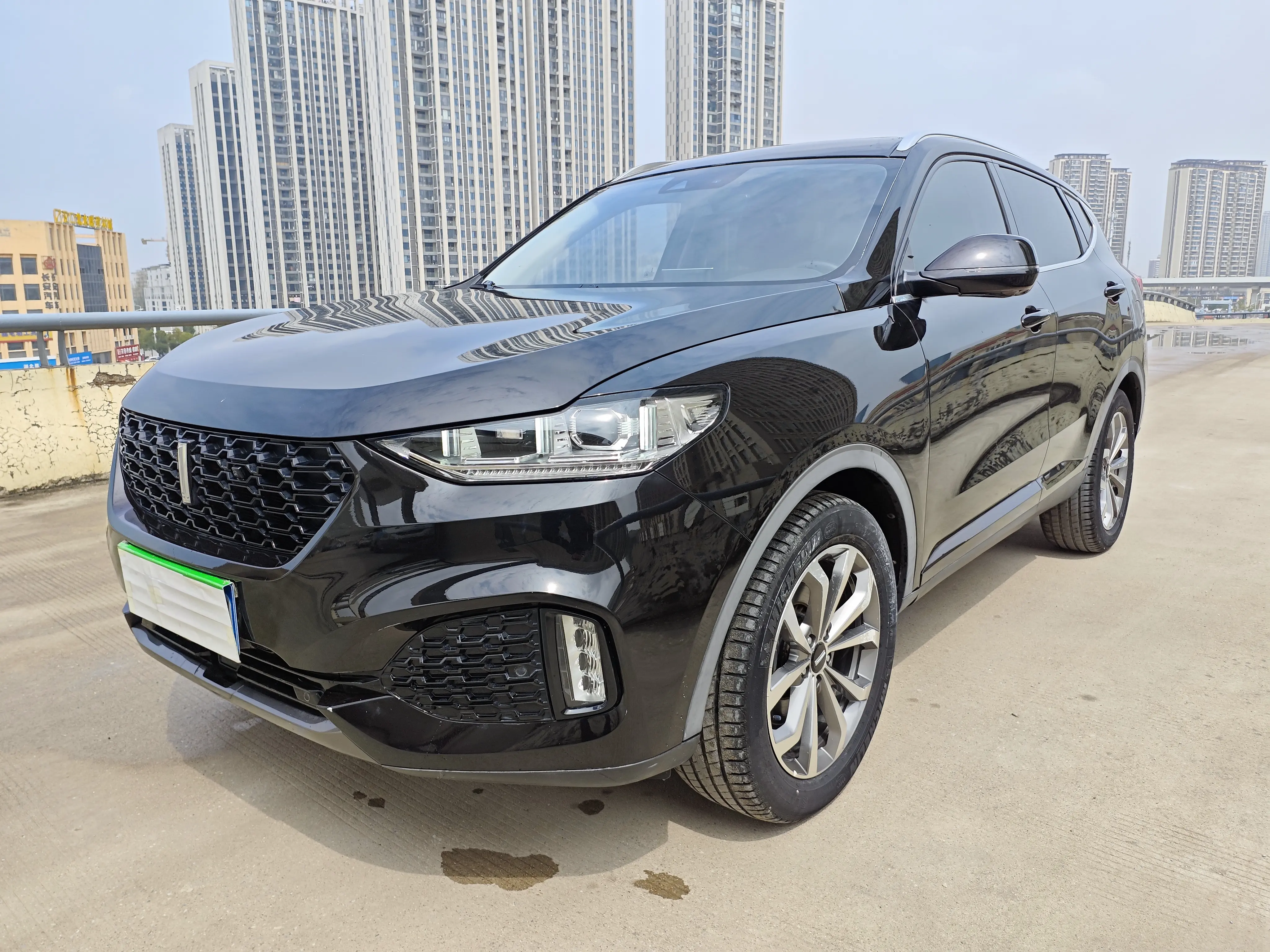 Wey Wei brand VV6