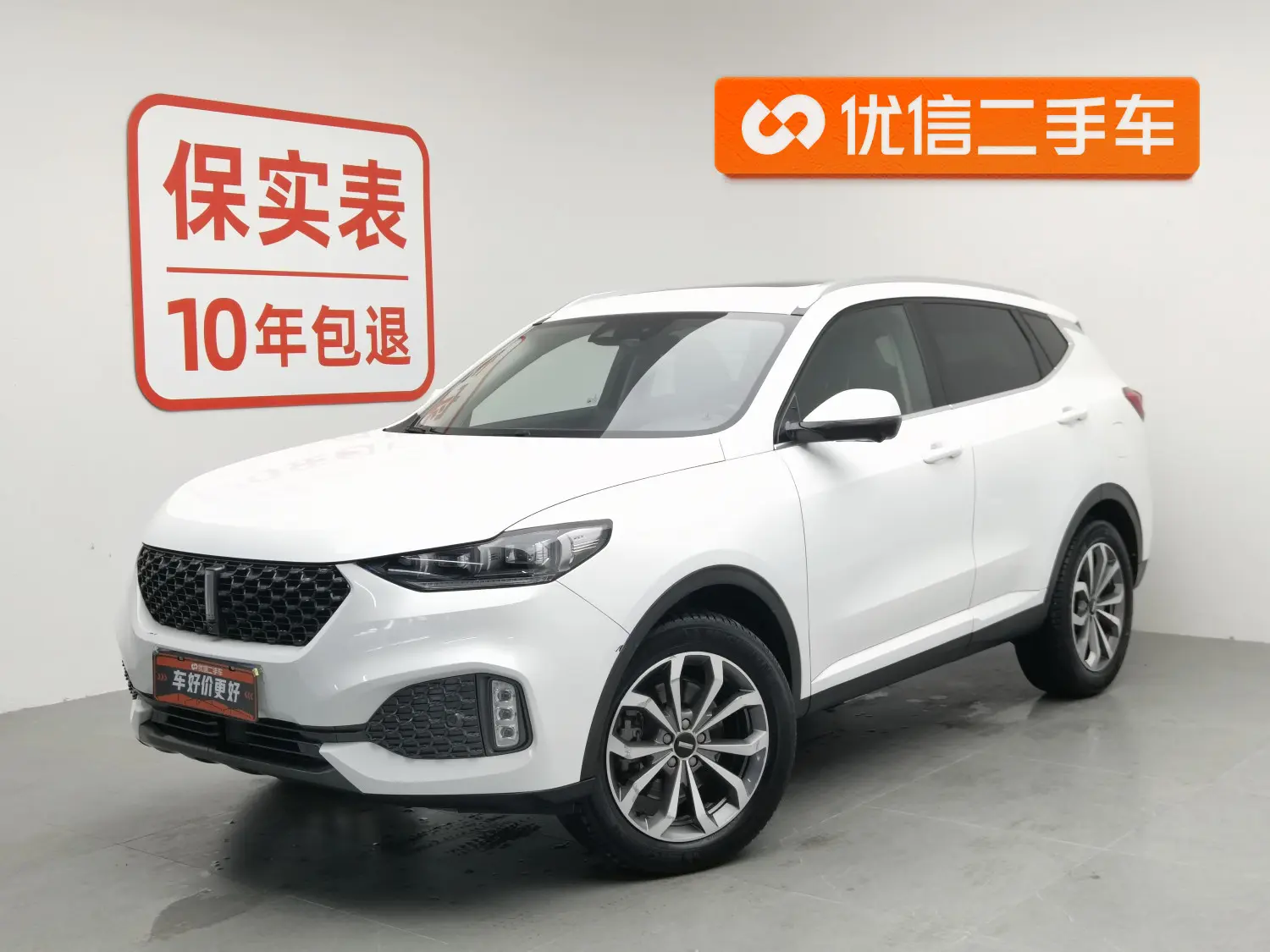 Wey Wei brand VV6