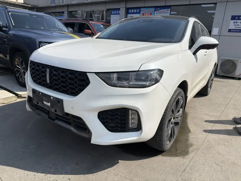 Wey Wei brand VV5
