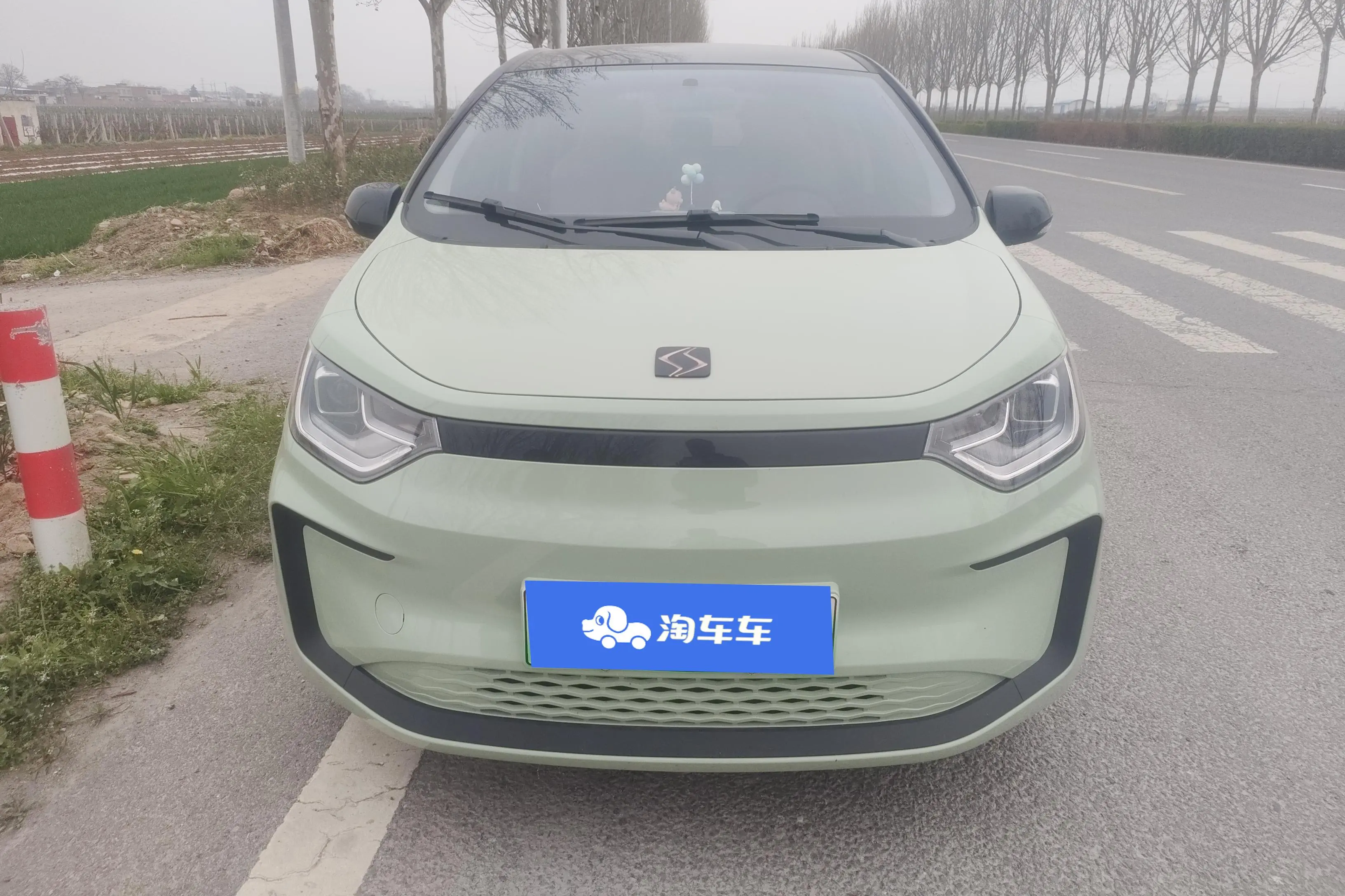 JAC (Sihao) Sihao Flower Fairy  из Китая