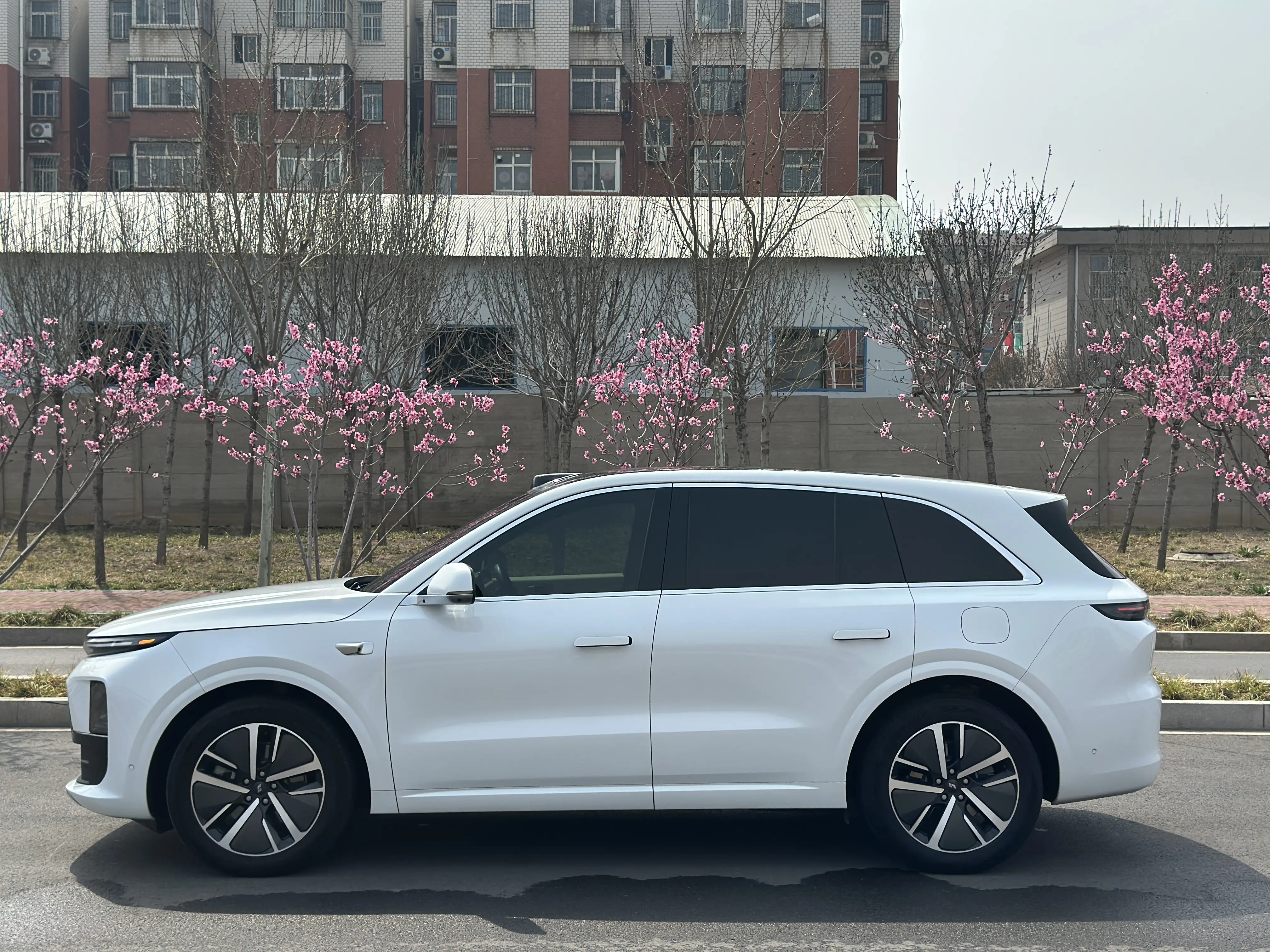 Lixiang L6