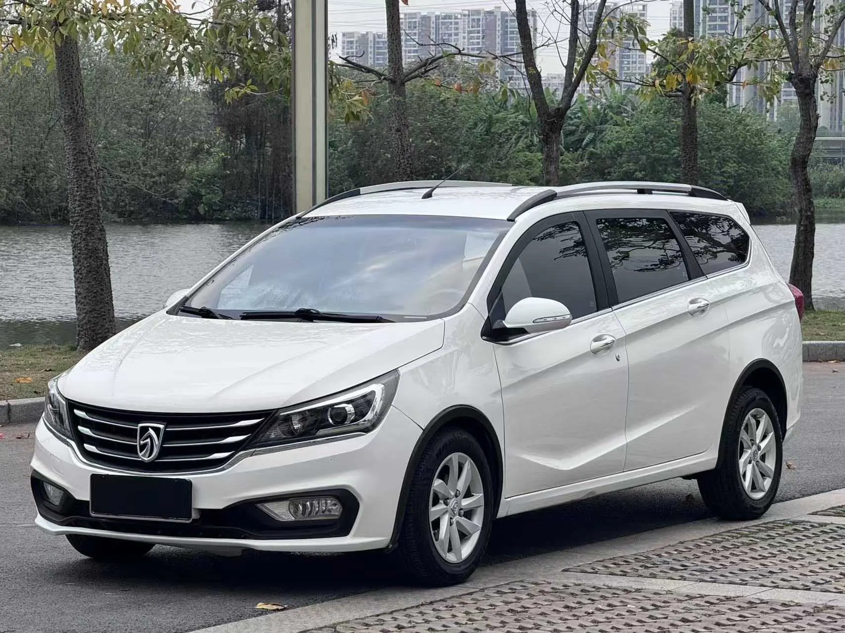 Baojun 310W