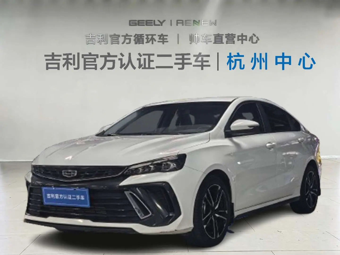 Geely Binrui