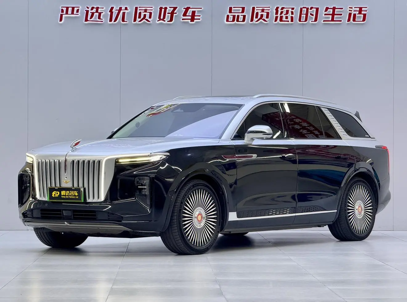 Hongqi E-HS9