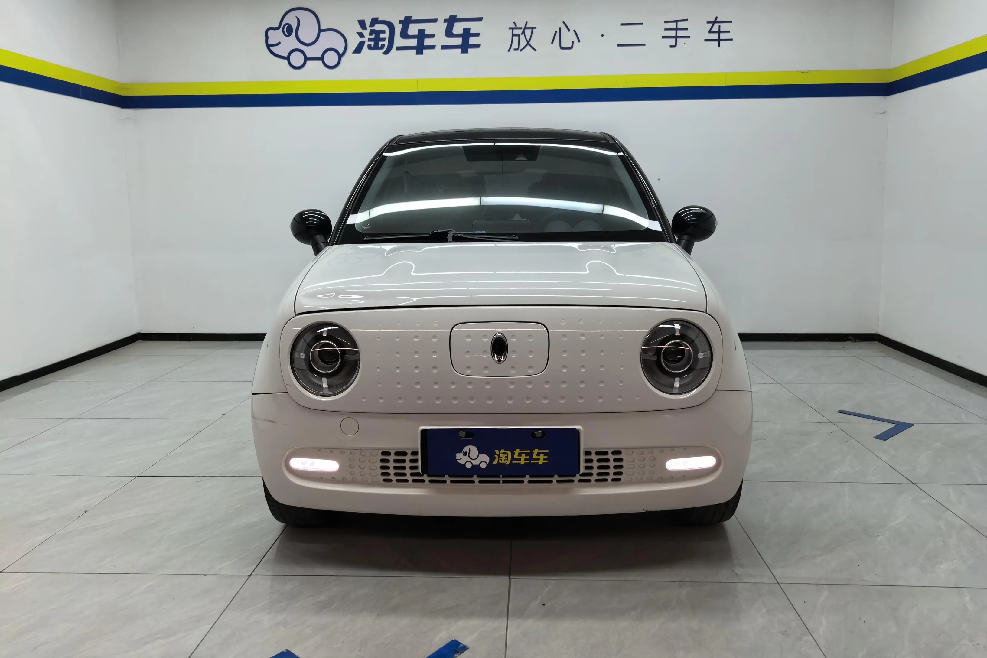 ORA Euler black cat  из Китая