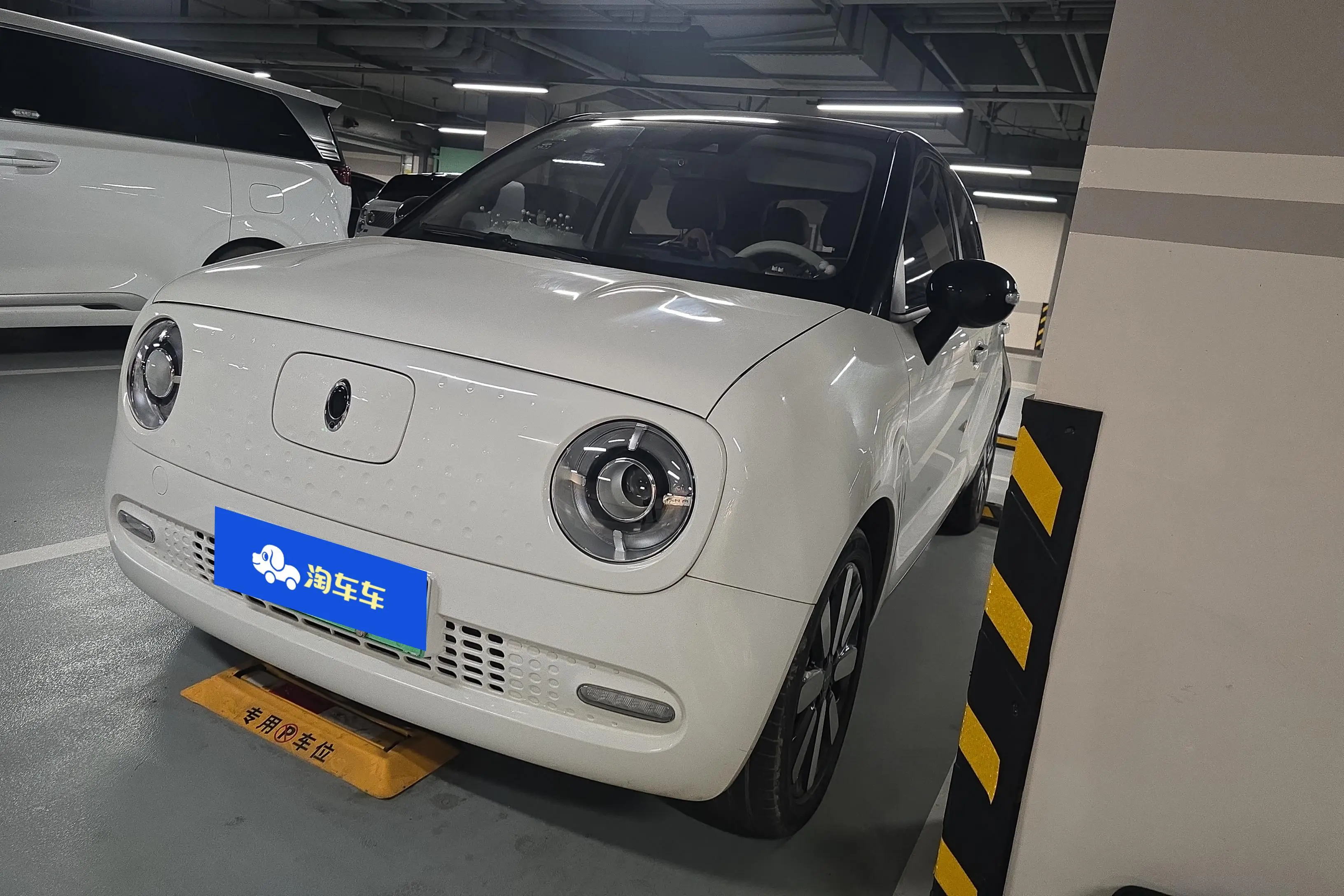 ORA Euler black cat  из Китая