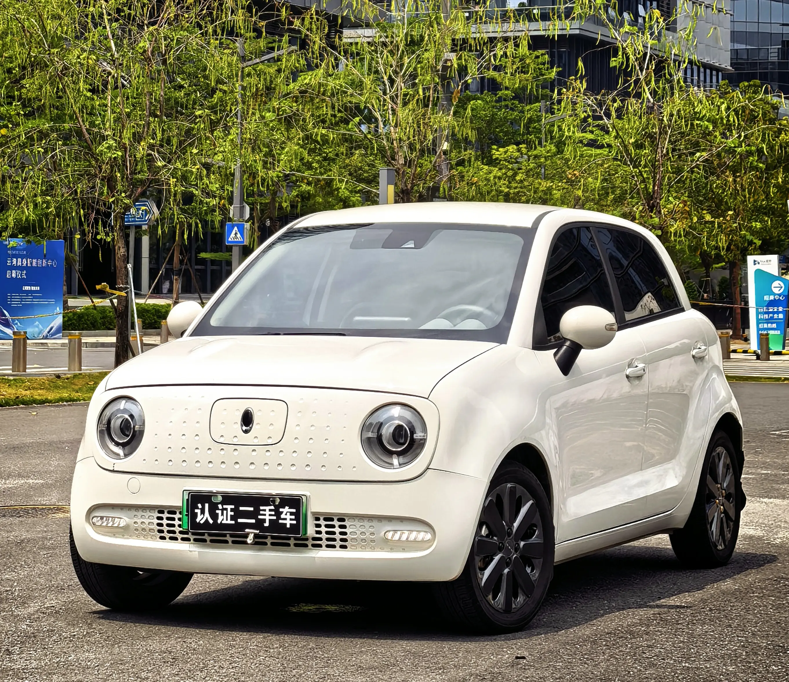 ORA Euler black cat  из Китая