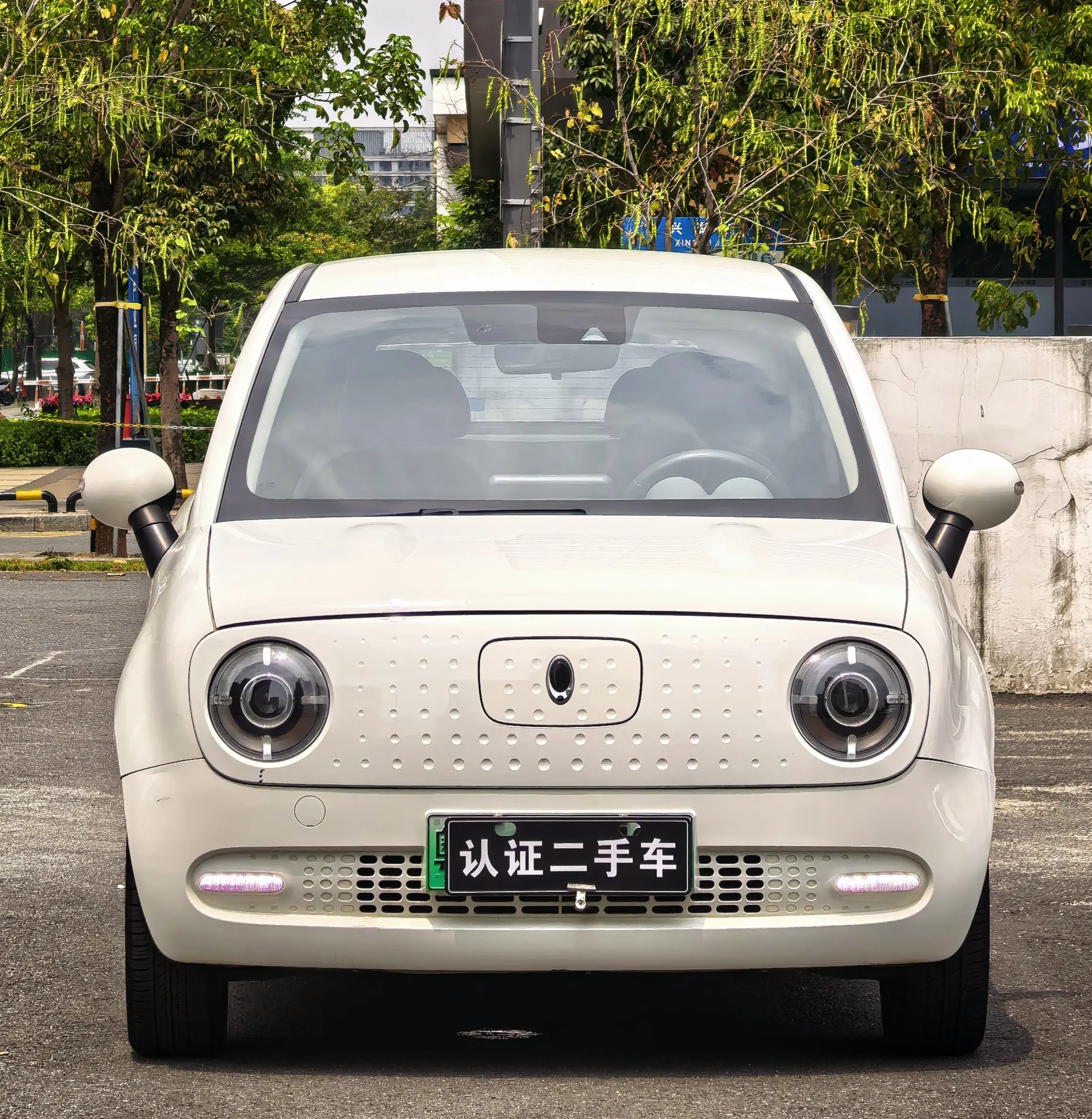 ORA Euler black cat  из Китая