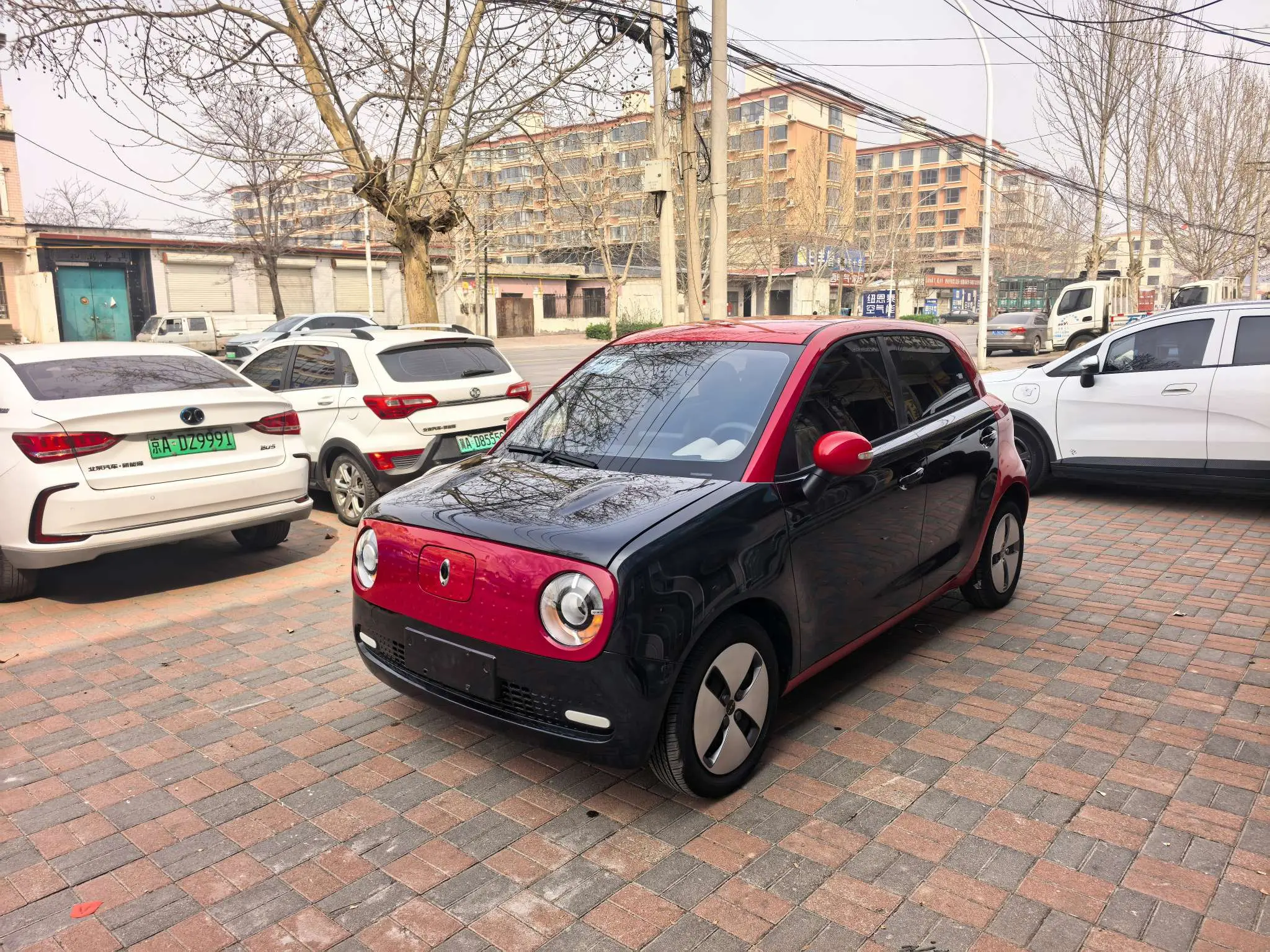 ORA Euler black cat  из Китая