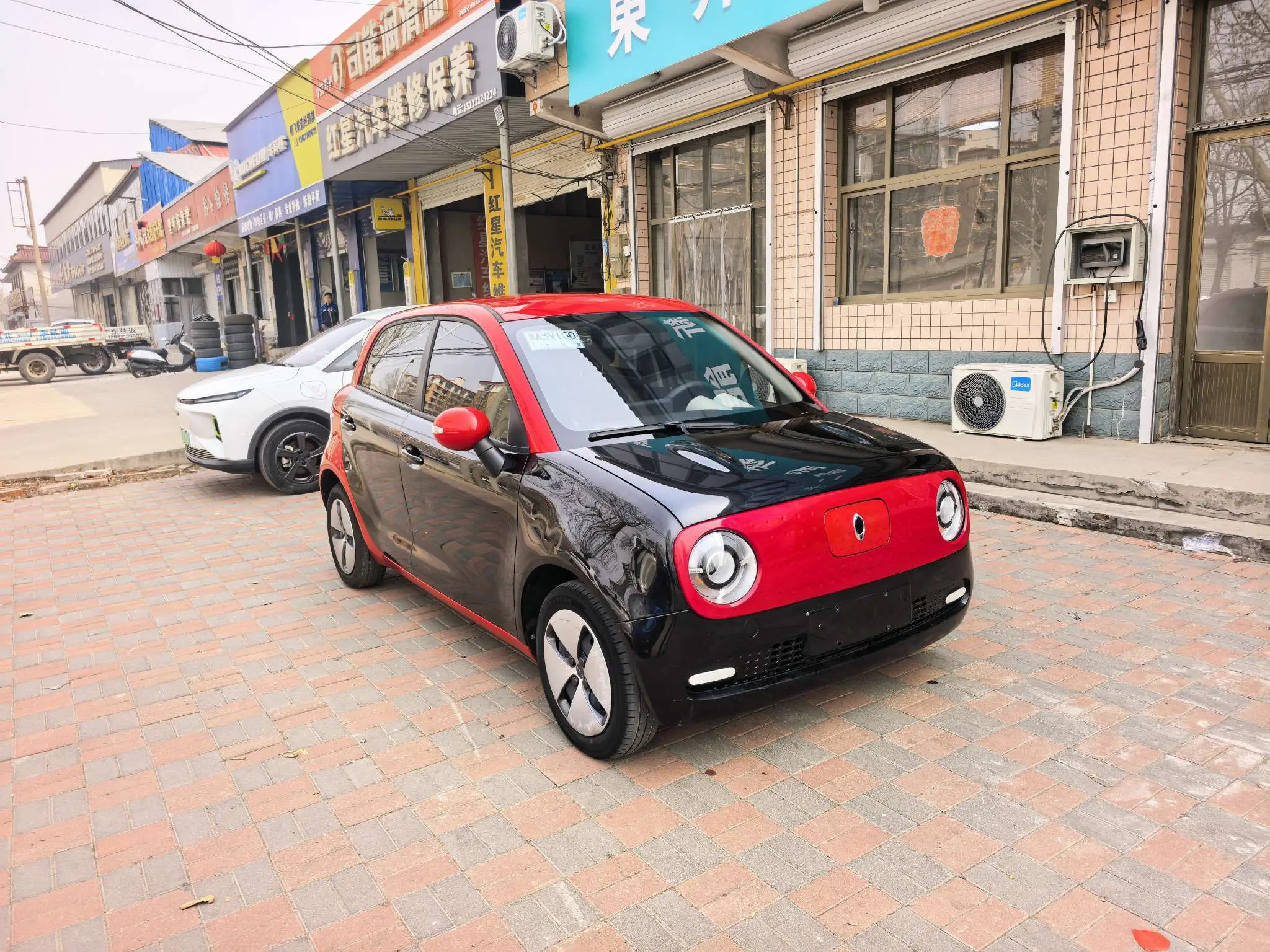 ORA Euler black cat  из Китая