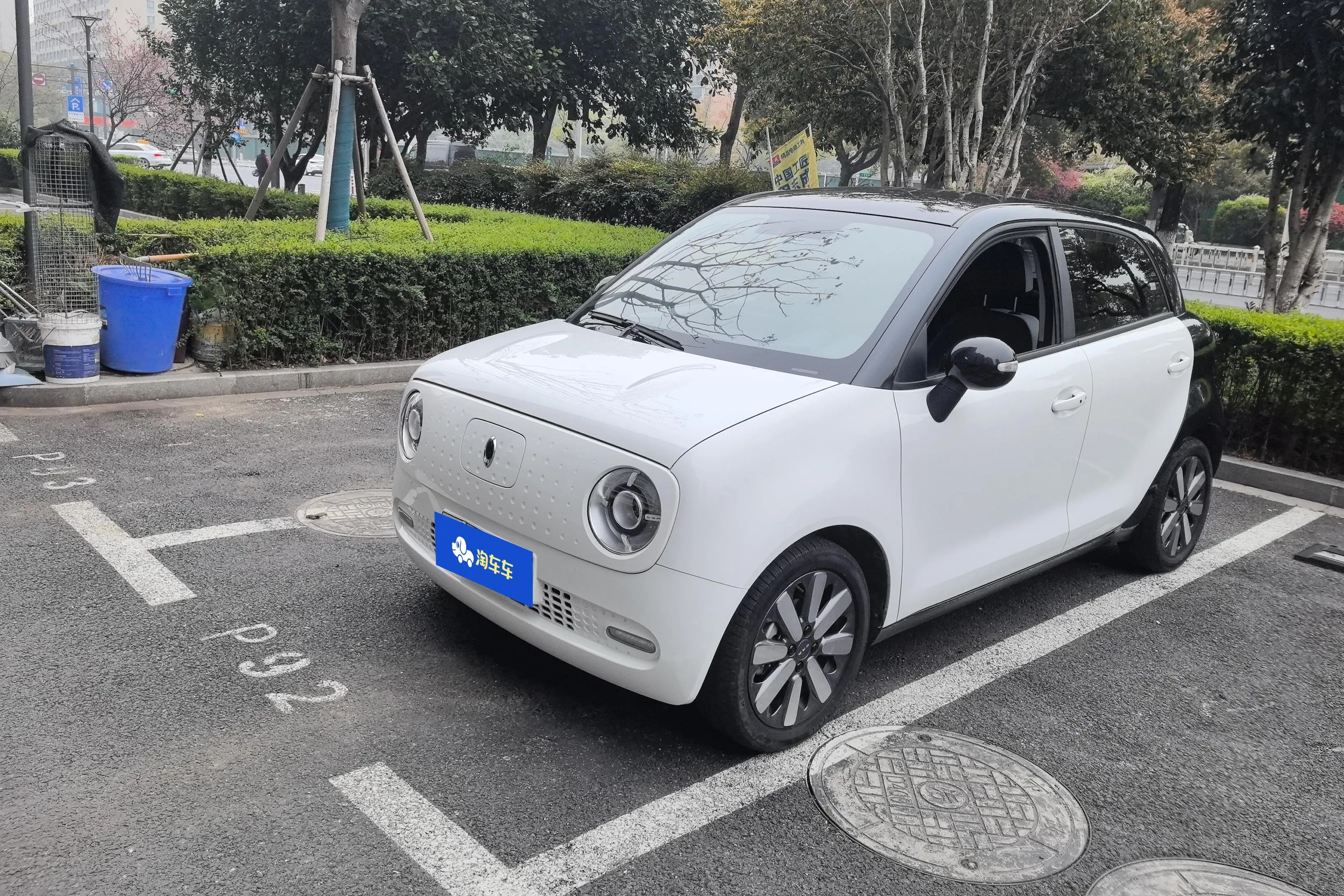 ORA Euler black cat  из Китая