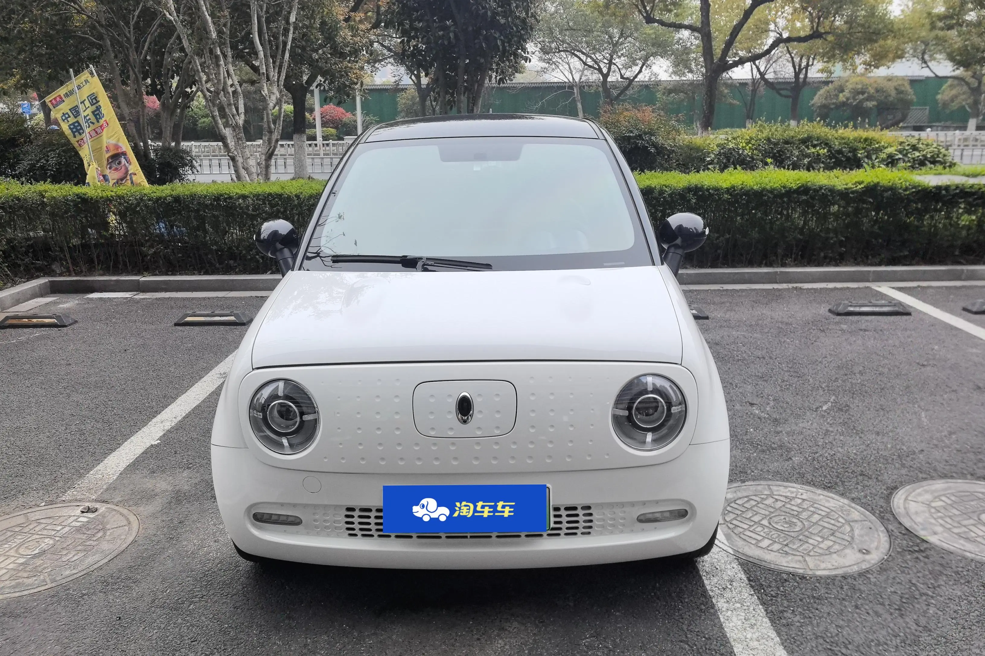 ORA Euler black cat  из Китая