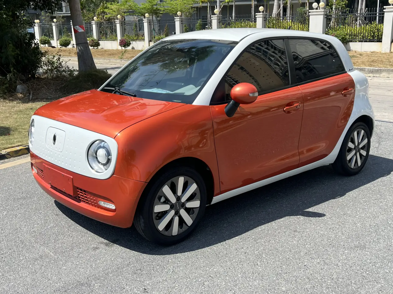 ORA Euler black cat  из Китая