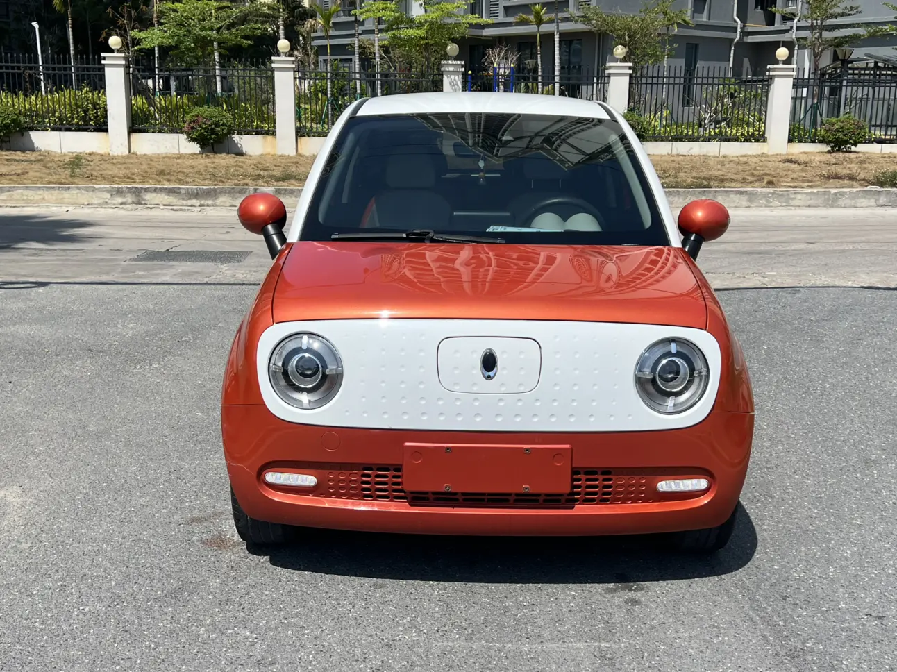 ORA Euler black cat  из Китая