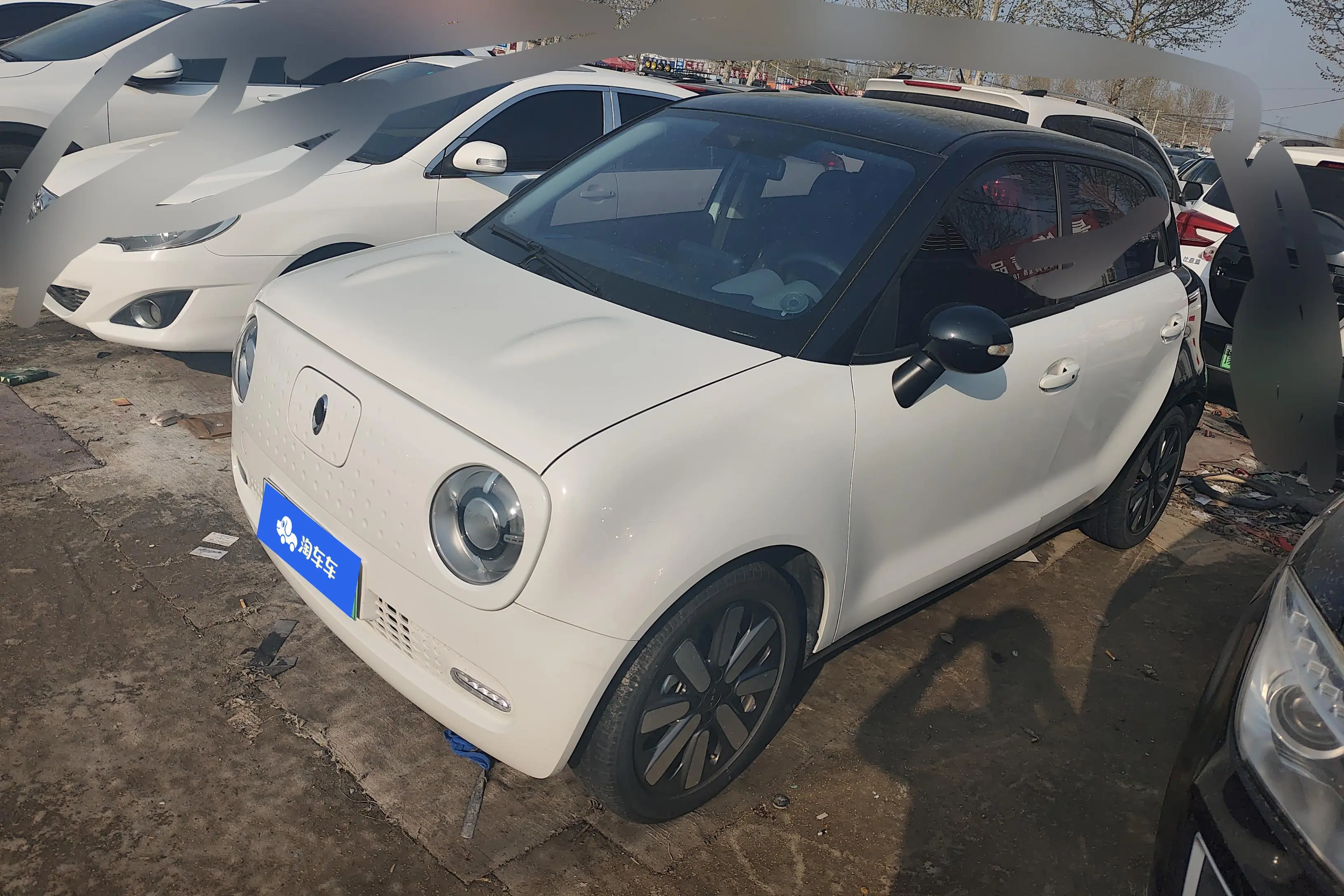 ORA Euler black cat  из Китая