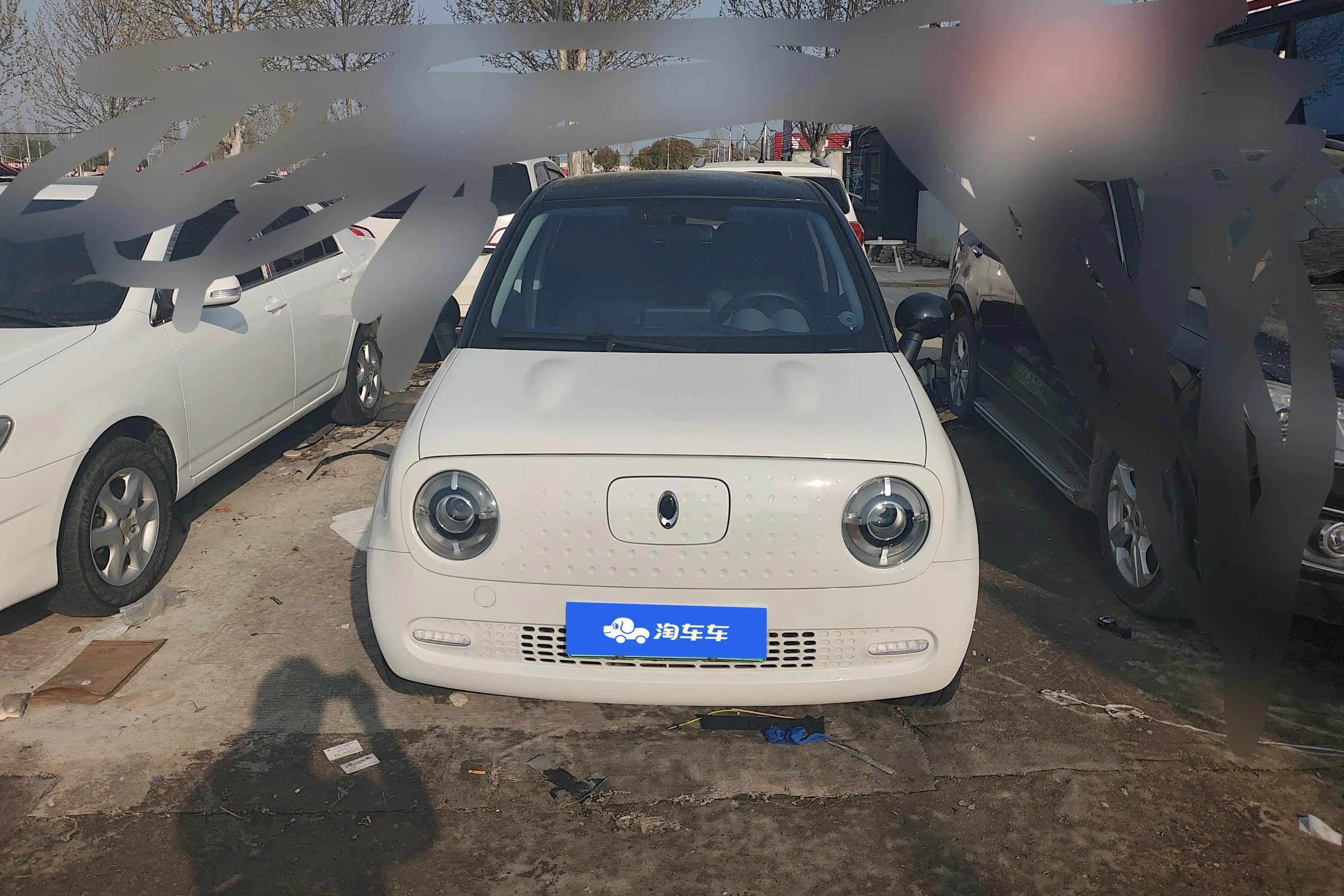 ORA Euler black cat  из Китая