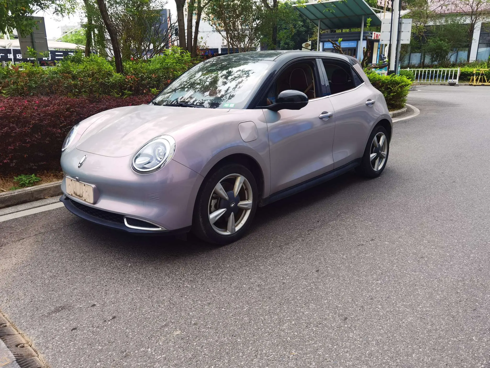 ORA Euler good cat  из Китая