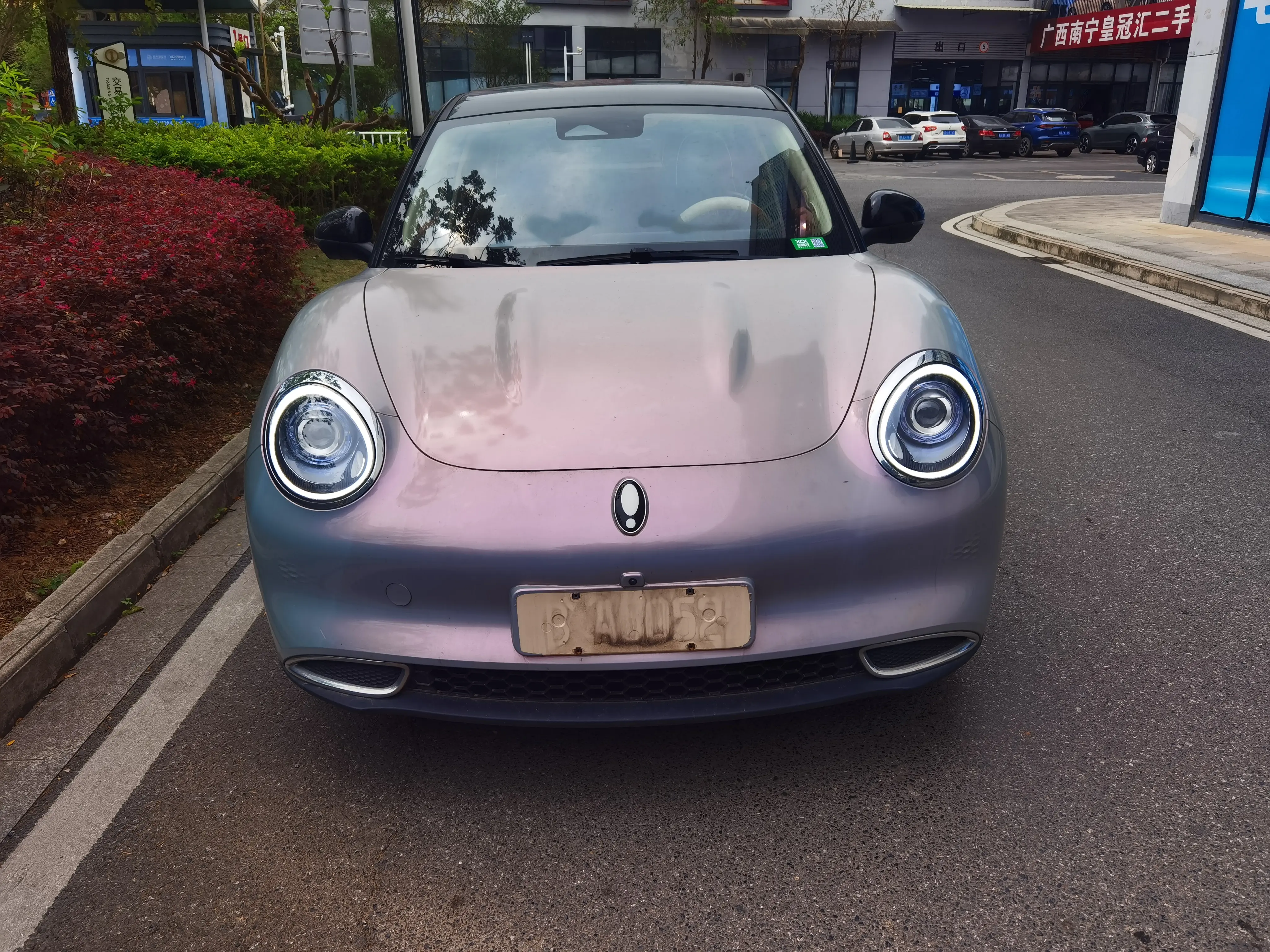 ORA Euler good cat  из Китая