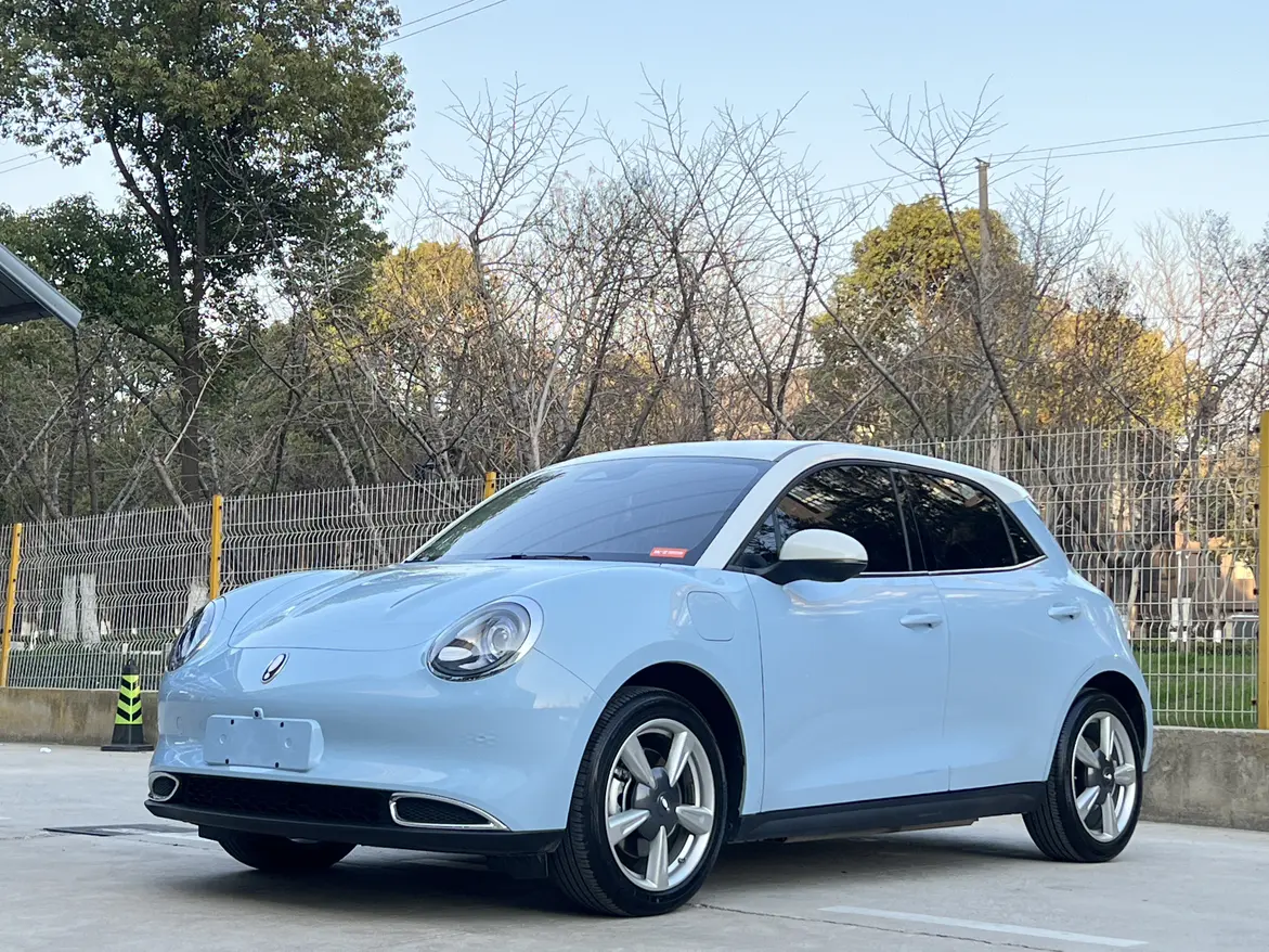 ORA Euler good cat  из Китая