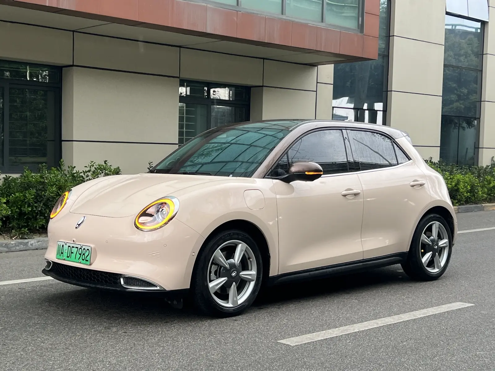 ORA Euler good cat  из Китая