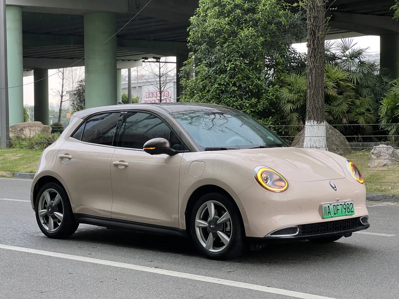 ORA Euler good cat  из Китая