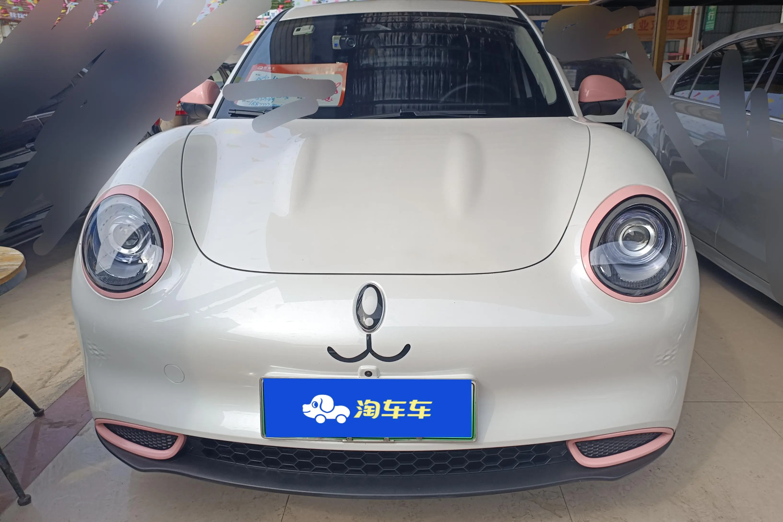 ORA Euler good cat  из Китая