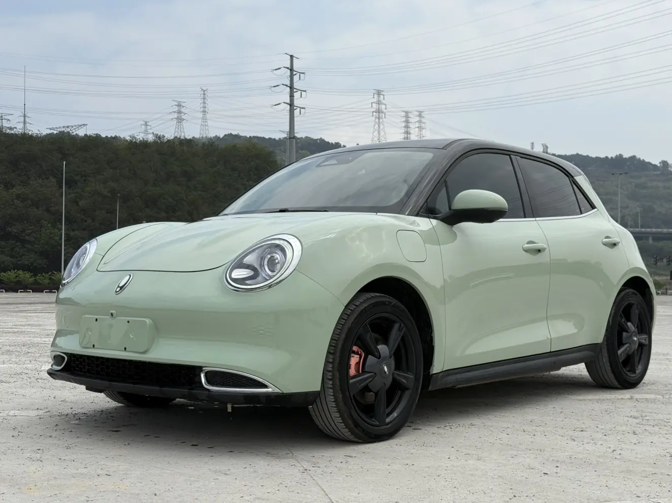 ORA Euler good cat  из Китая