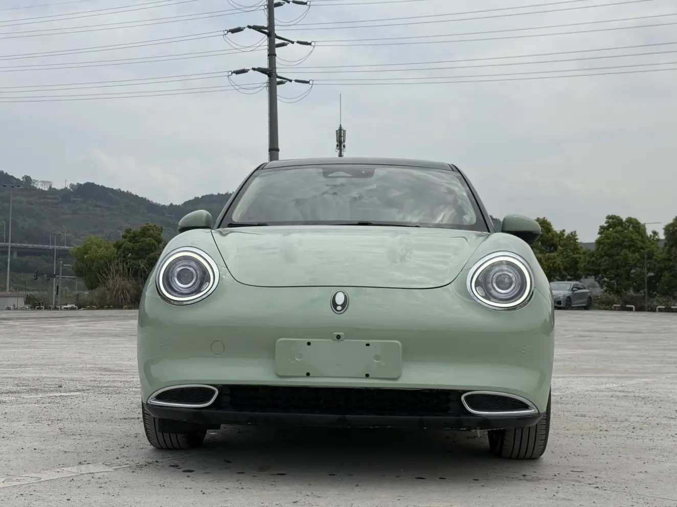 ORA Euler good cat  из Китая