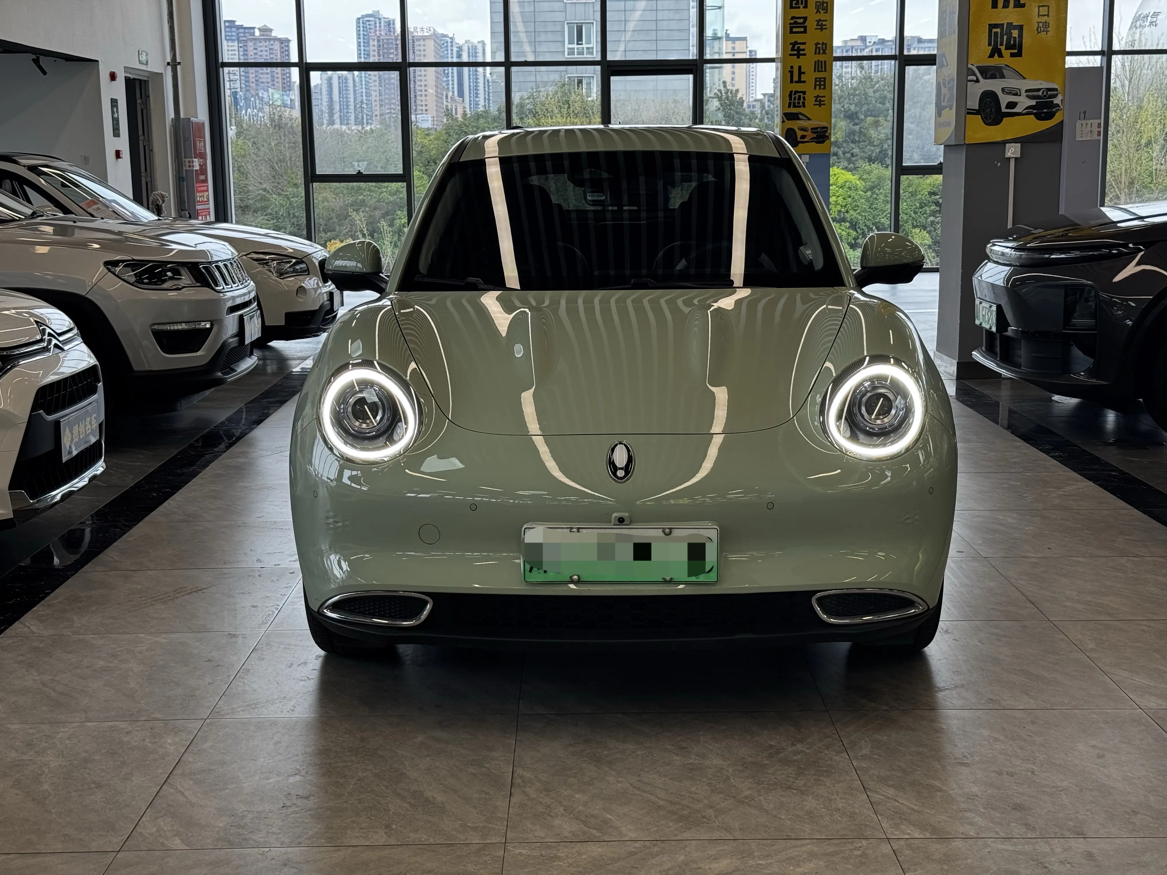 ORA Euler good cat  из Китая