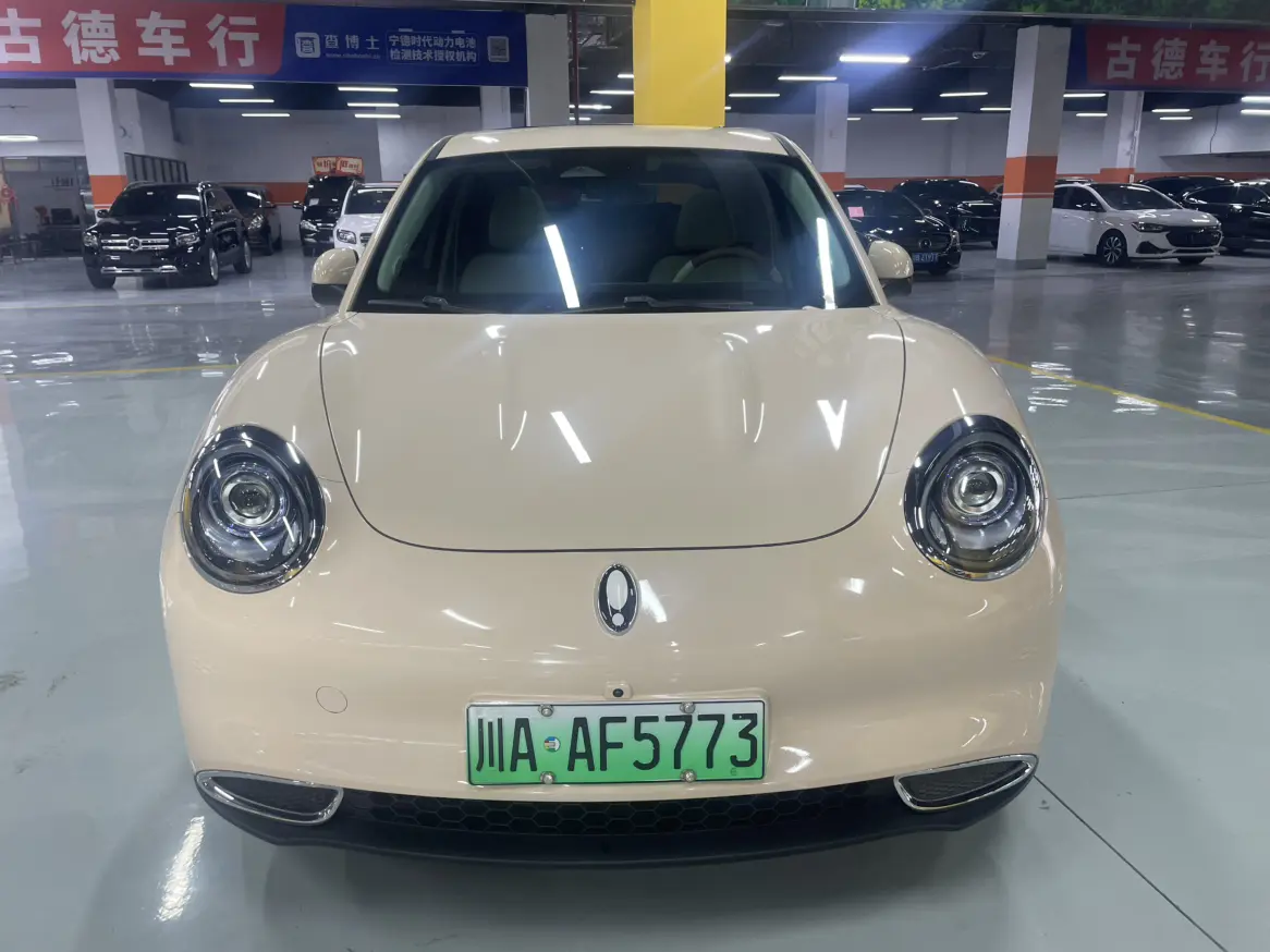 ORA Euler good cat  из Китая