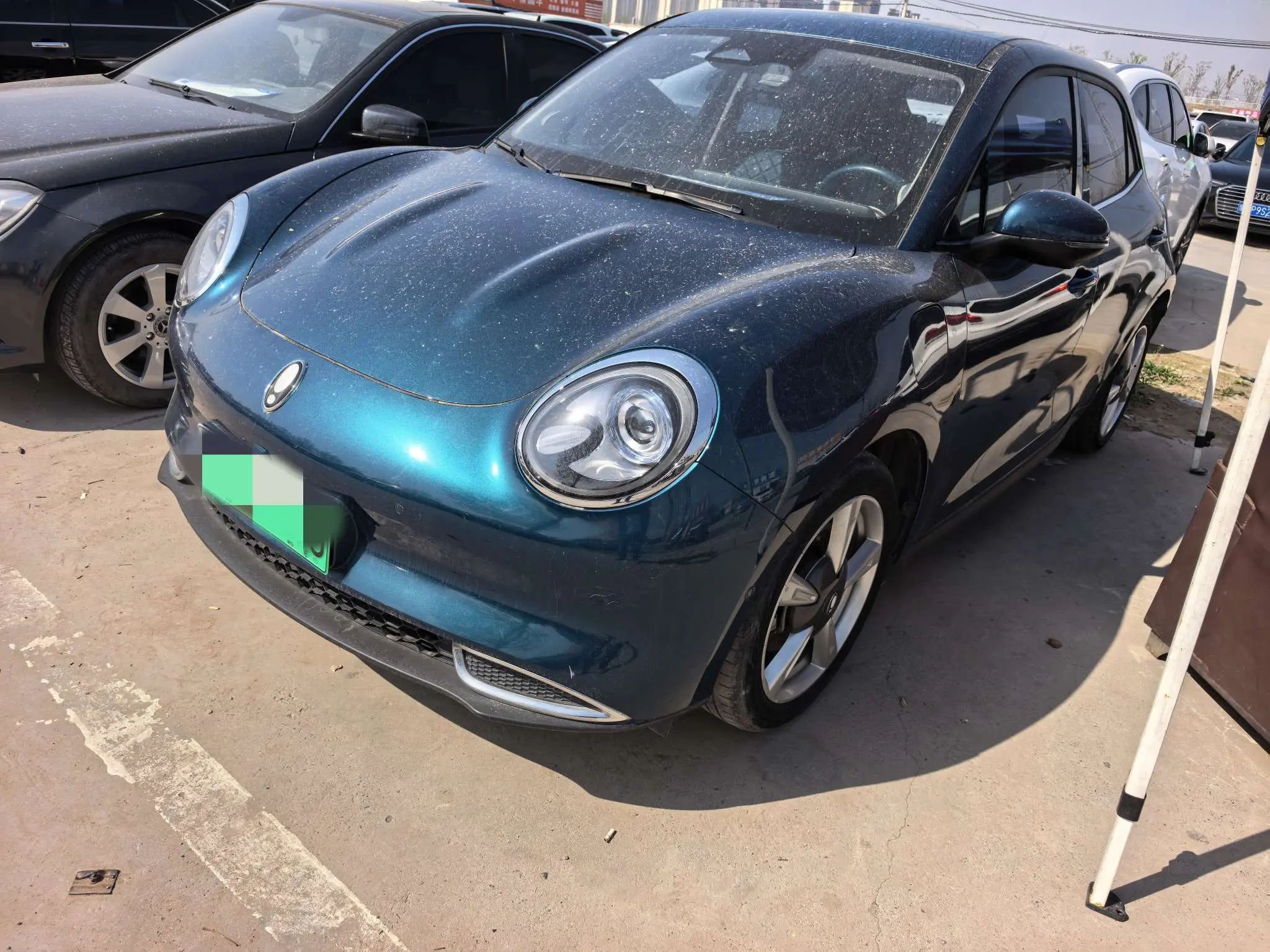 ORA Euler good cat  из Китая