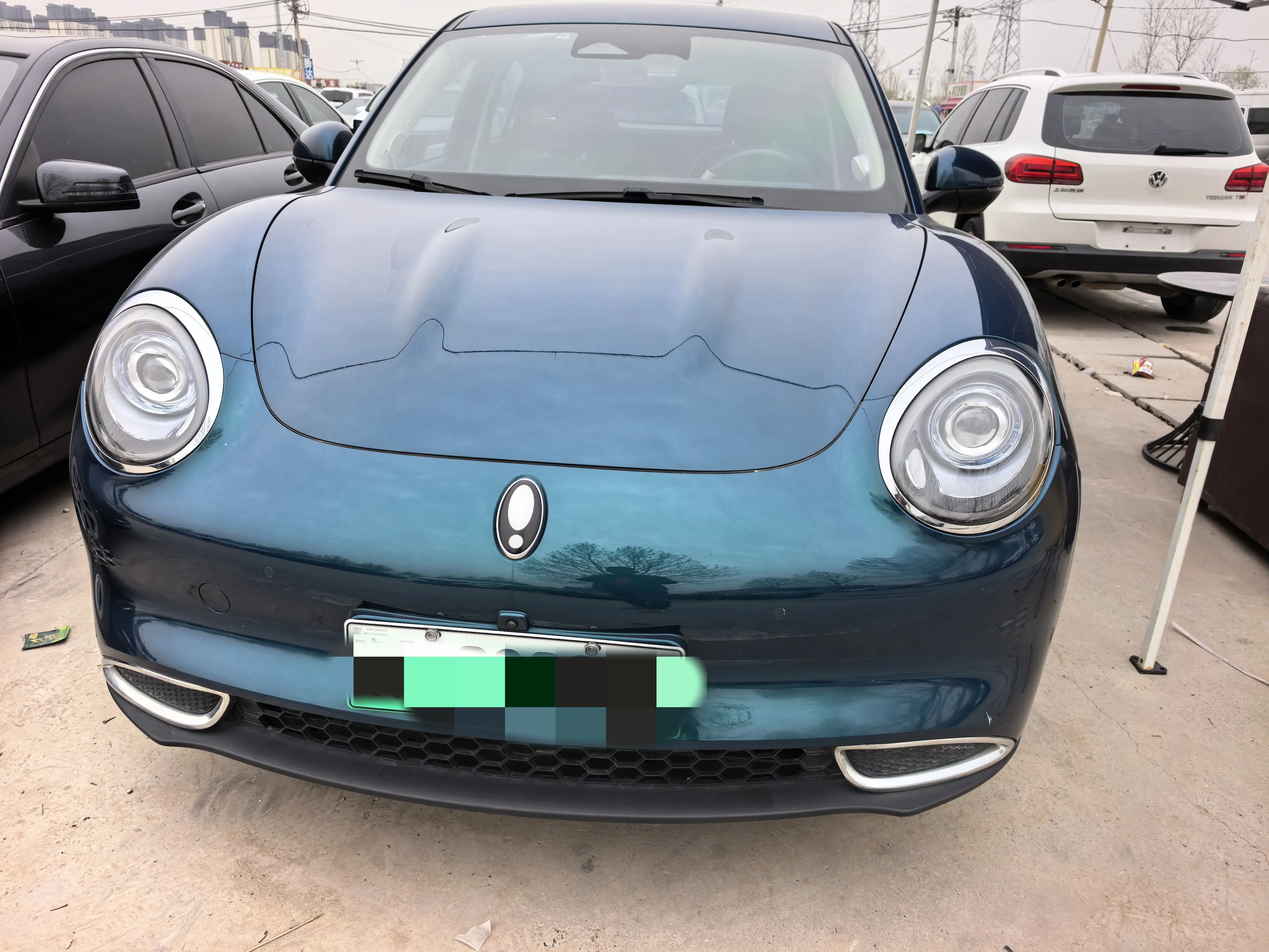 ORA Euler good cat  из Китая