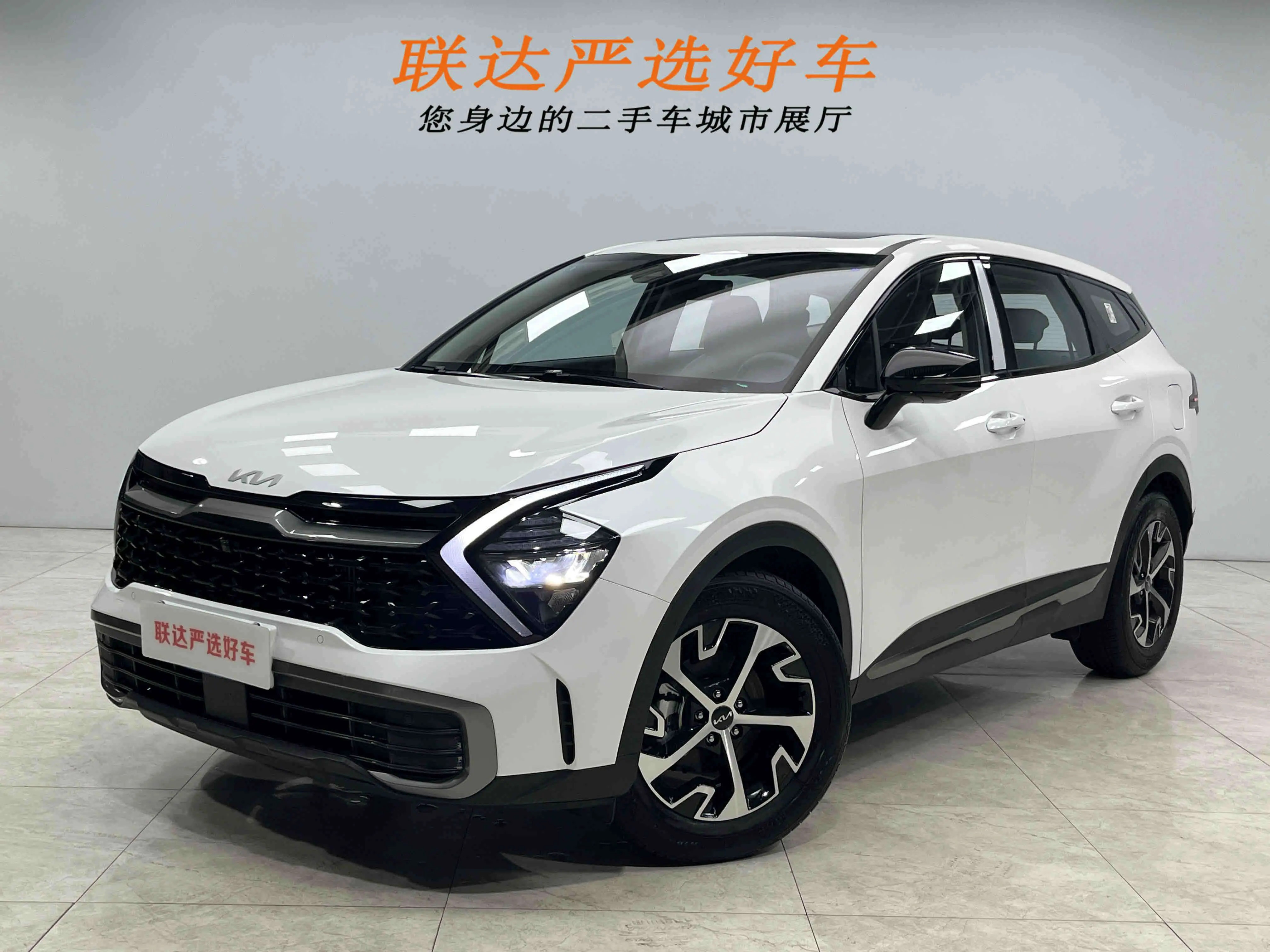 Kia Lion Platinum Expands the Boundary