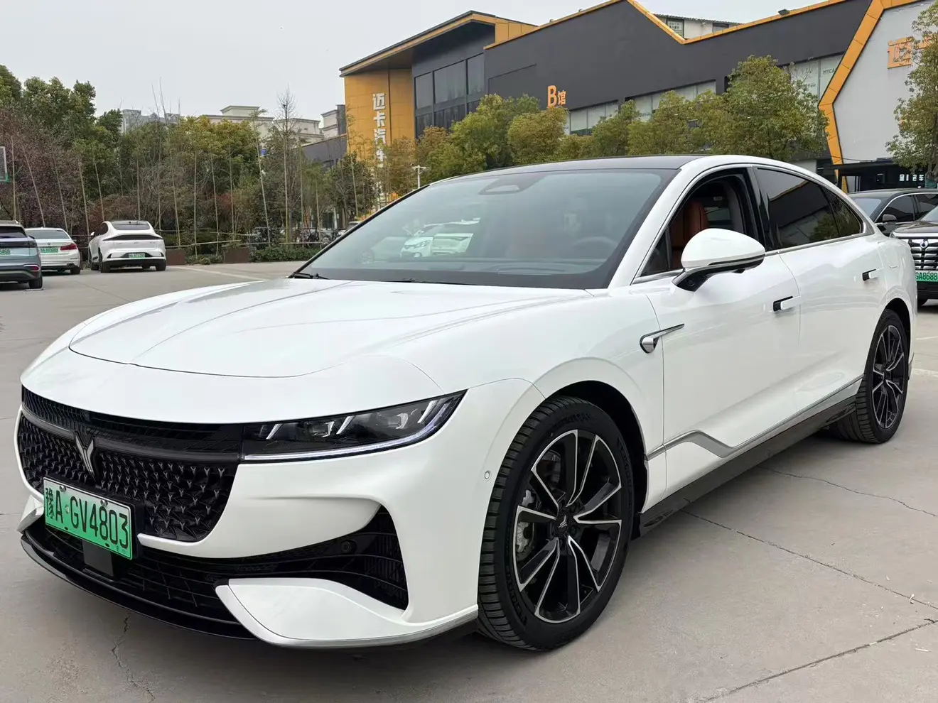 Voyah Passion PHEV