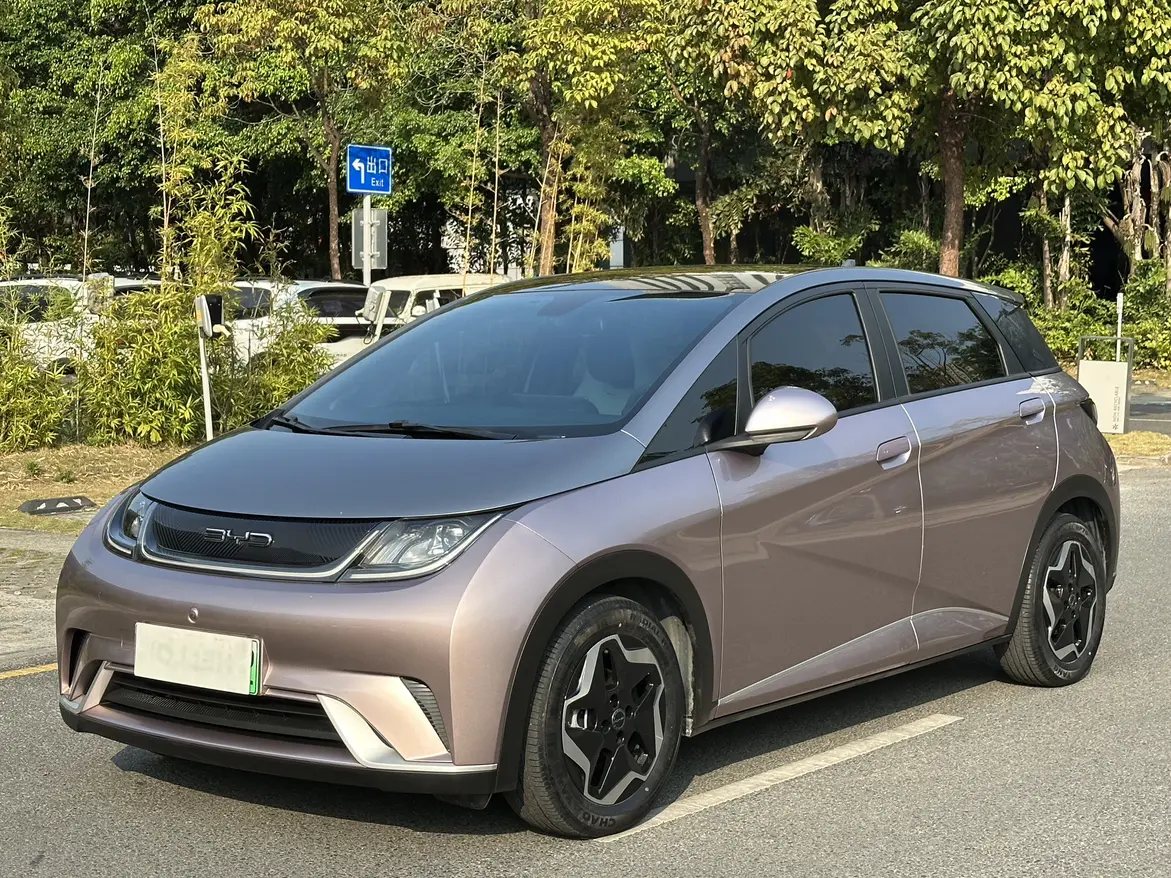 BYD Dolphin  из Китая