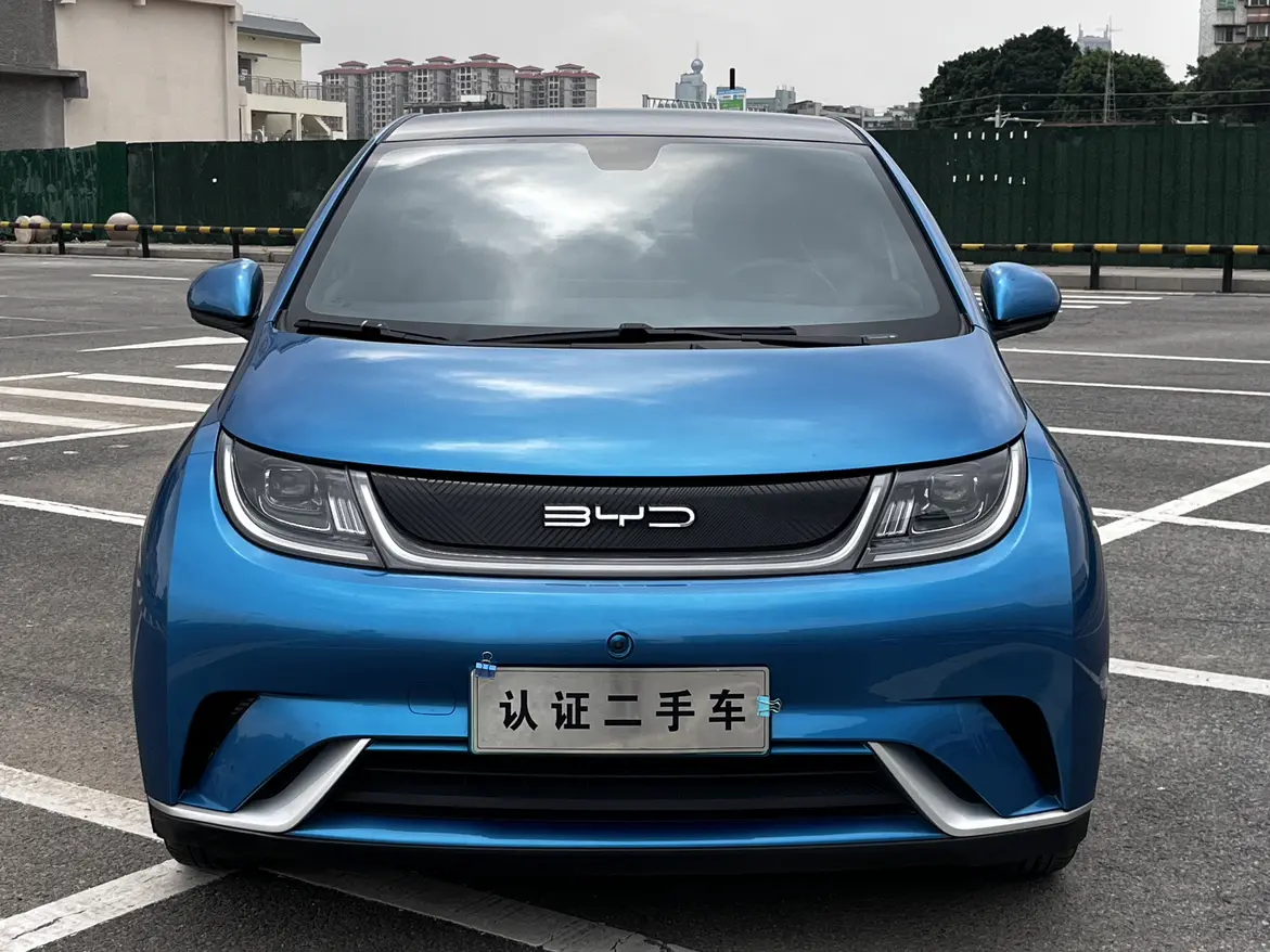 BYD Dolphin  из Китая