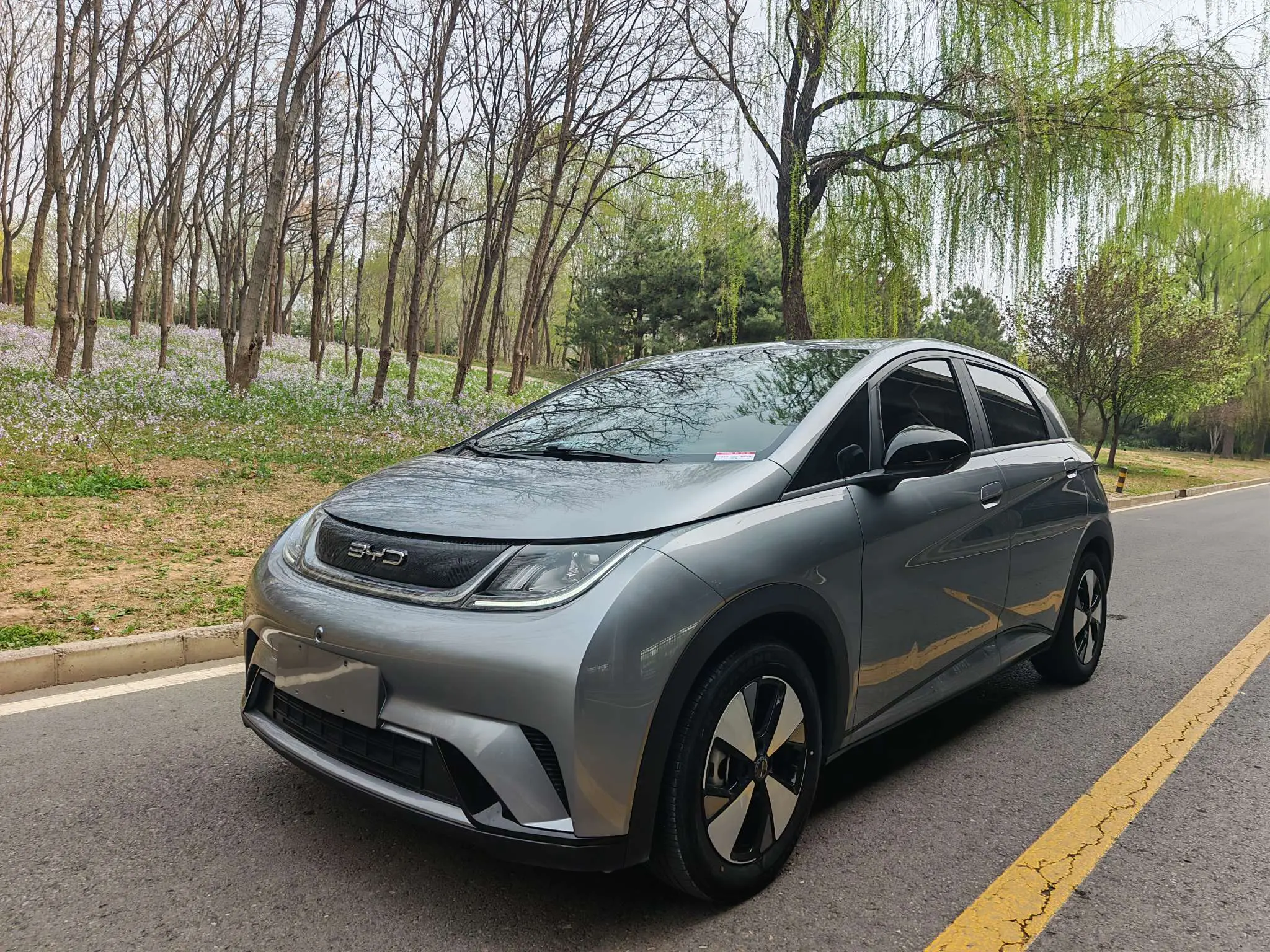 BYD Dolphin  из Китая