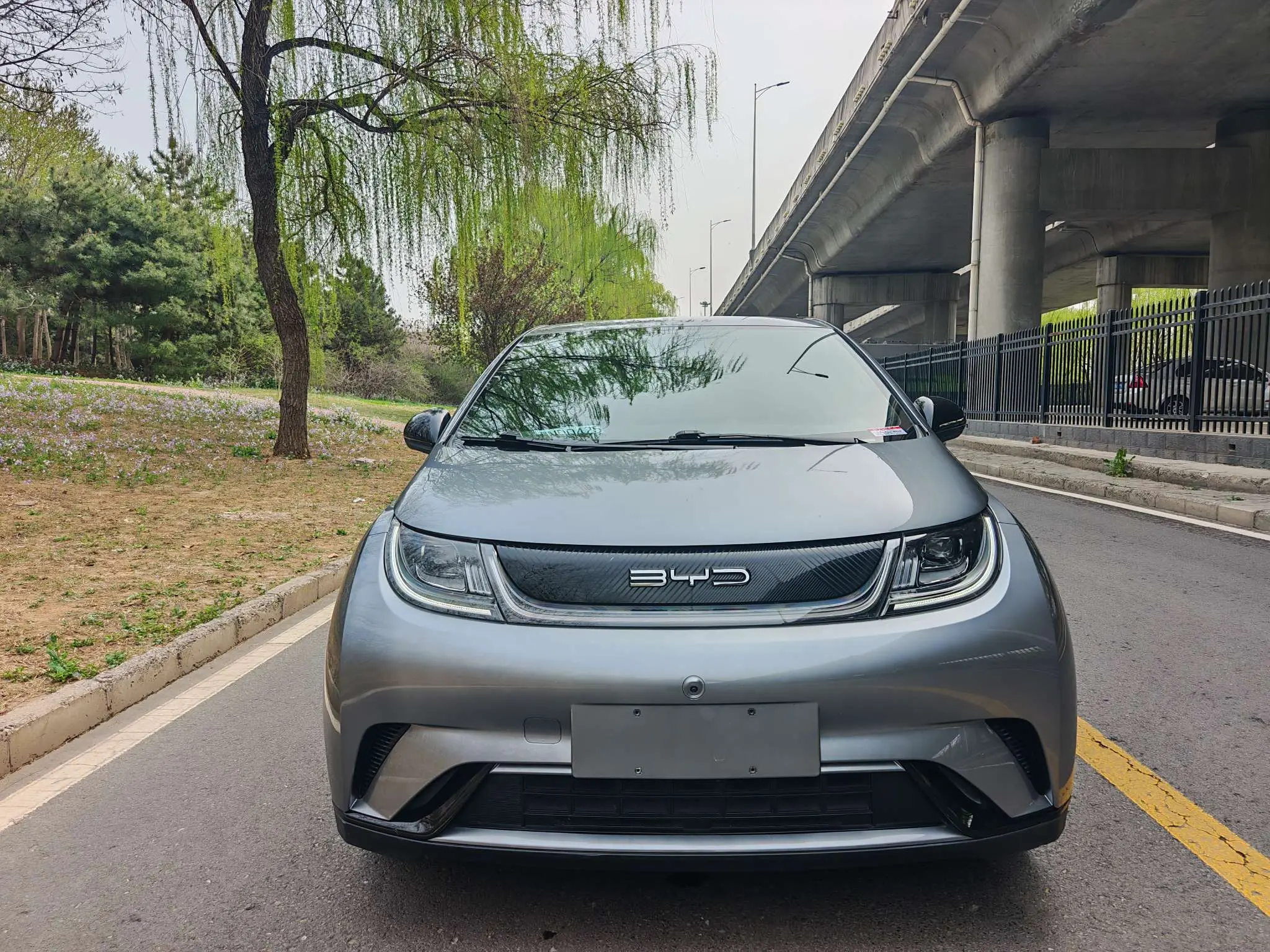 BYD Dolphin  из Китая