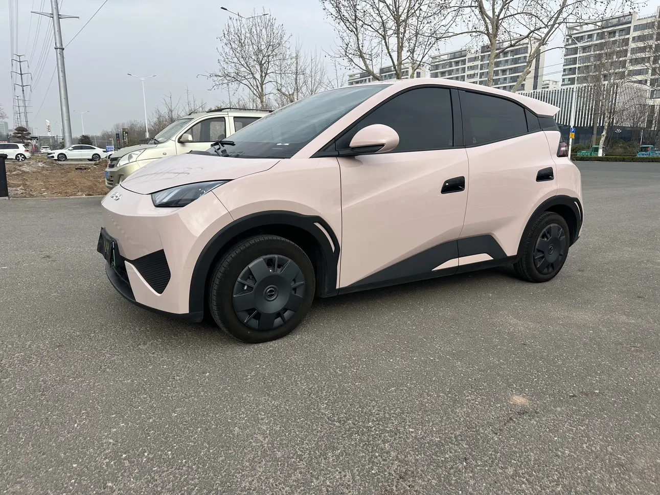 BYD Seagull  из Китая