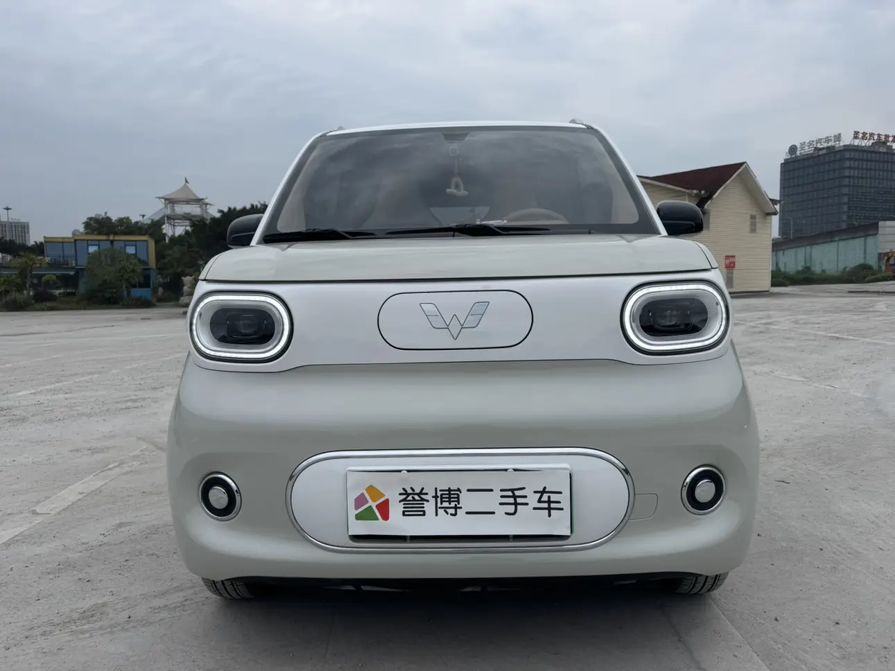 Wuling Hongguang MINIEV  из Китая