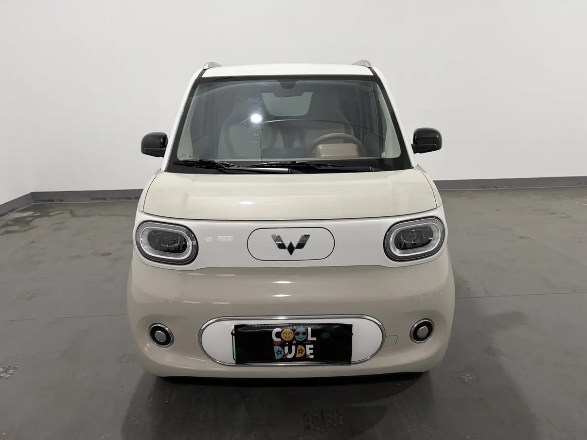 Wuling Hongguang MINIEV  из Китая