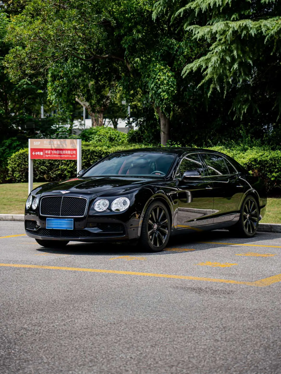 Bentley Galloping