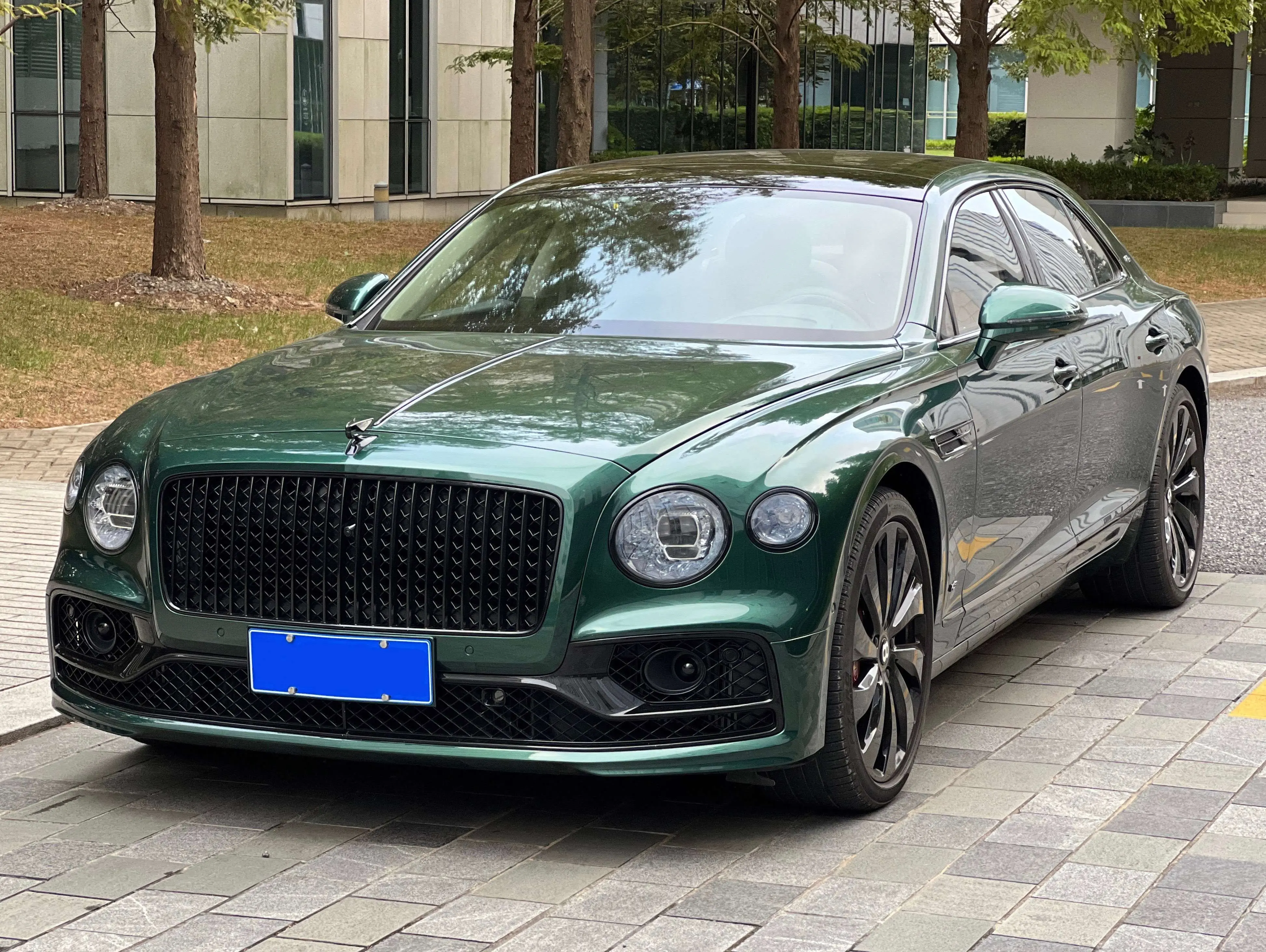 Bentley Galloping