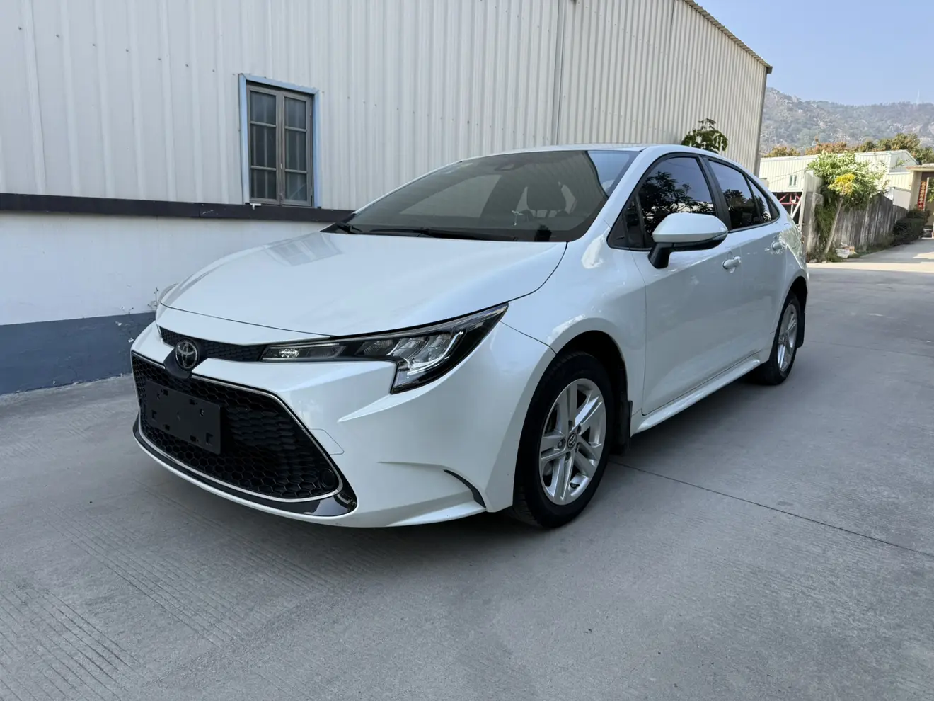 Toyota Levin